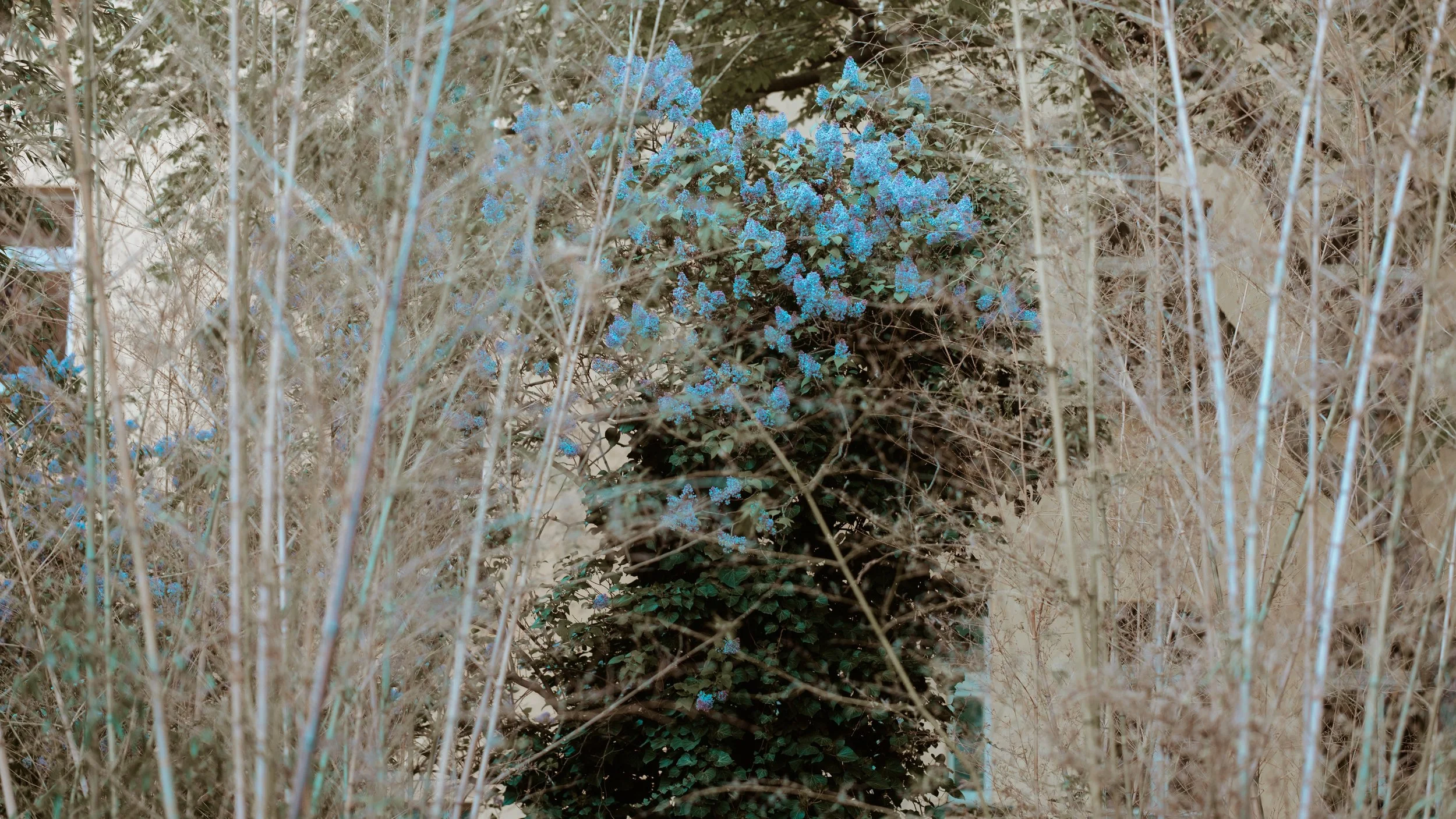 L1020473.jpg