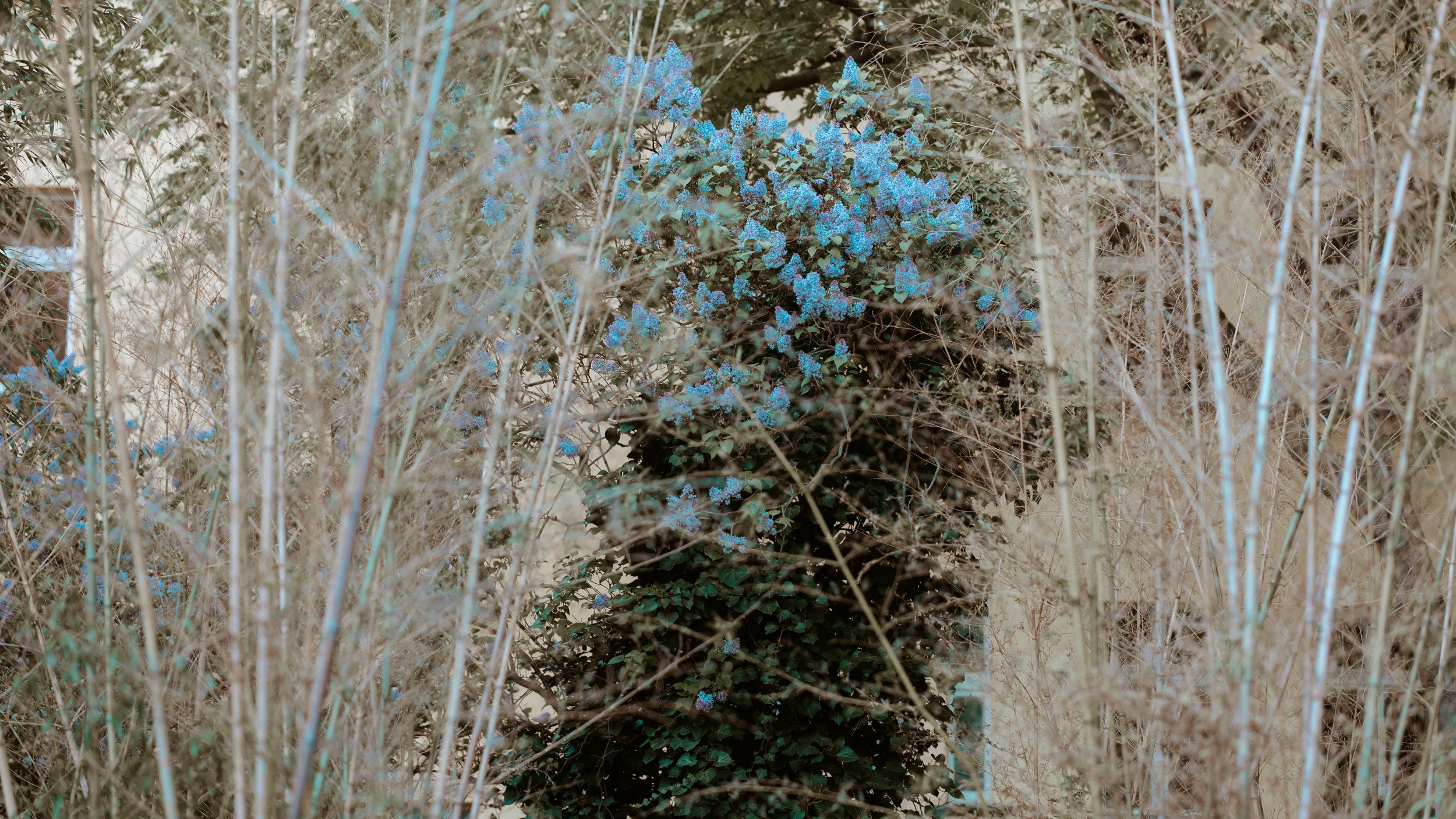 L1020473.jpg