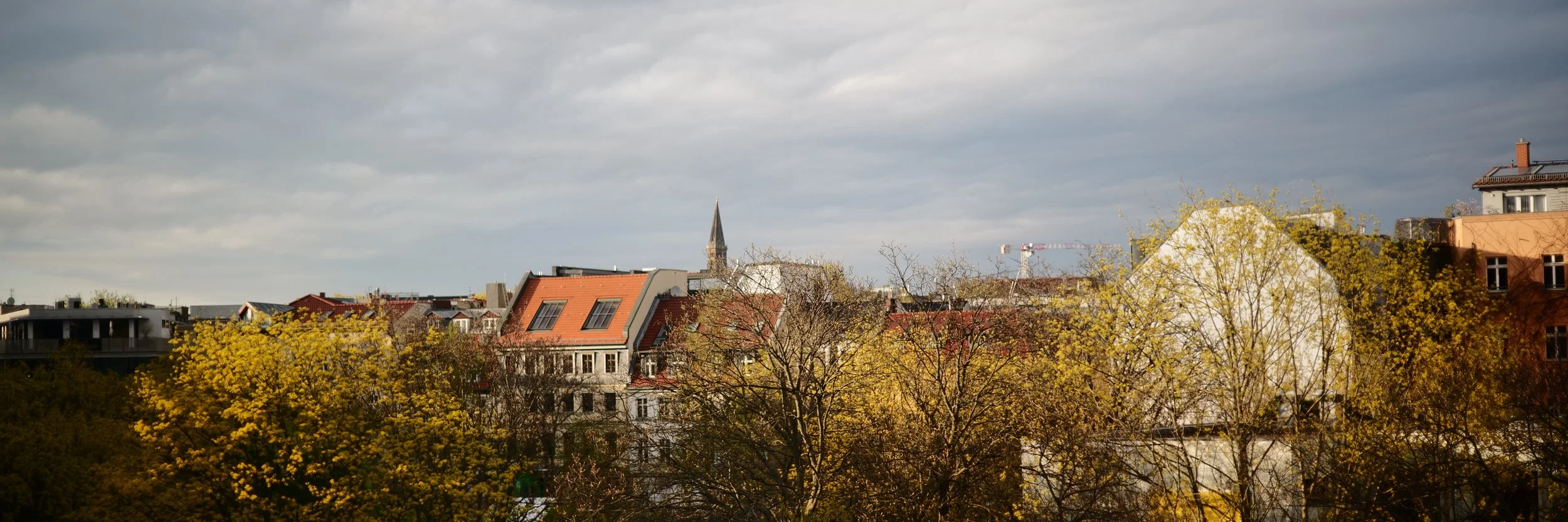 L1000205.JPG