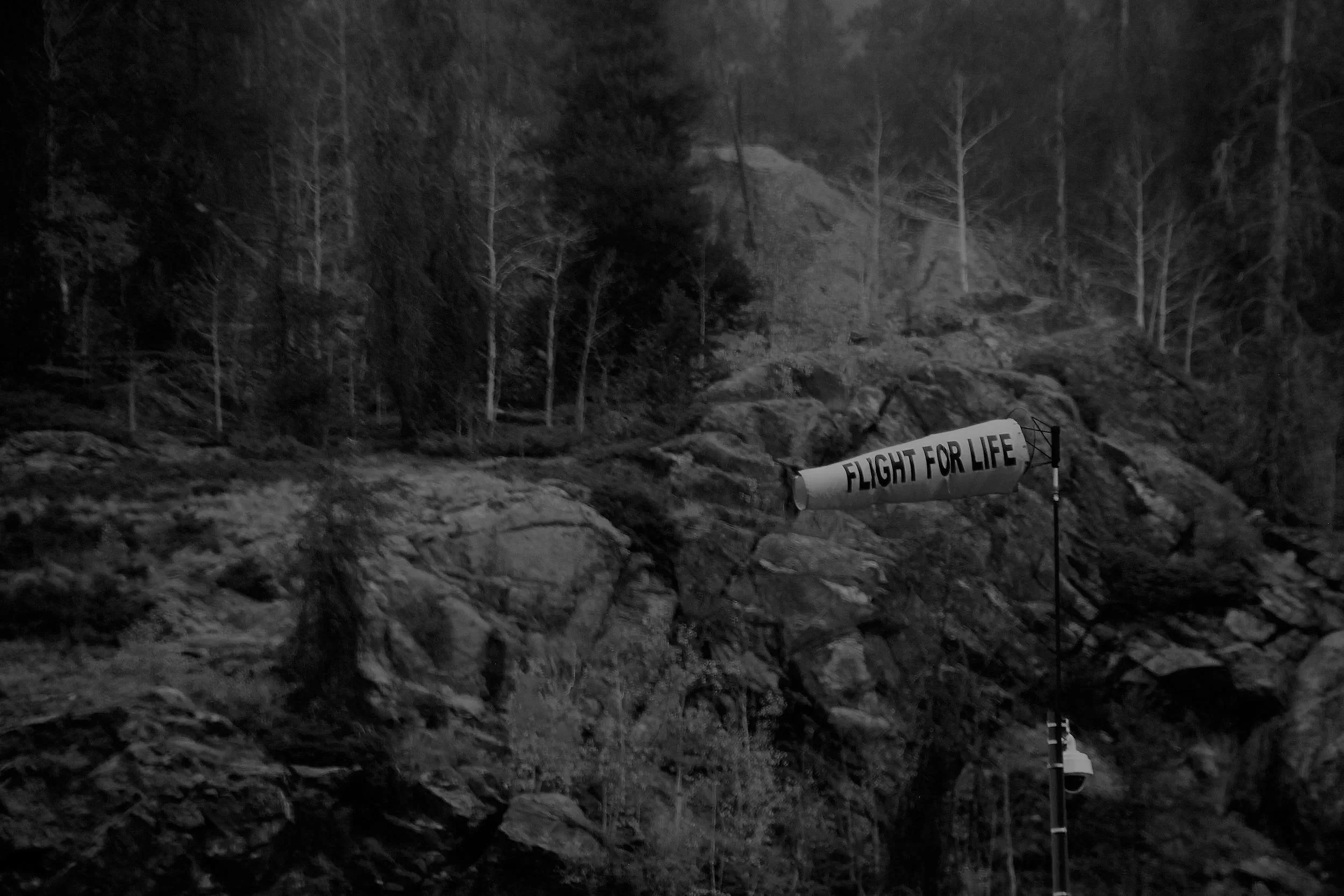 A black and white photo of rocky terrain with trees in the background. There is a sign that says 'Flight for Life' attached to a pole.