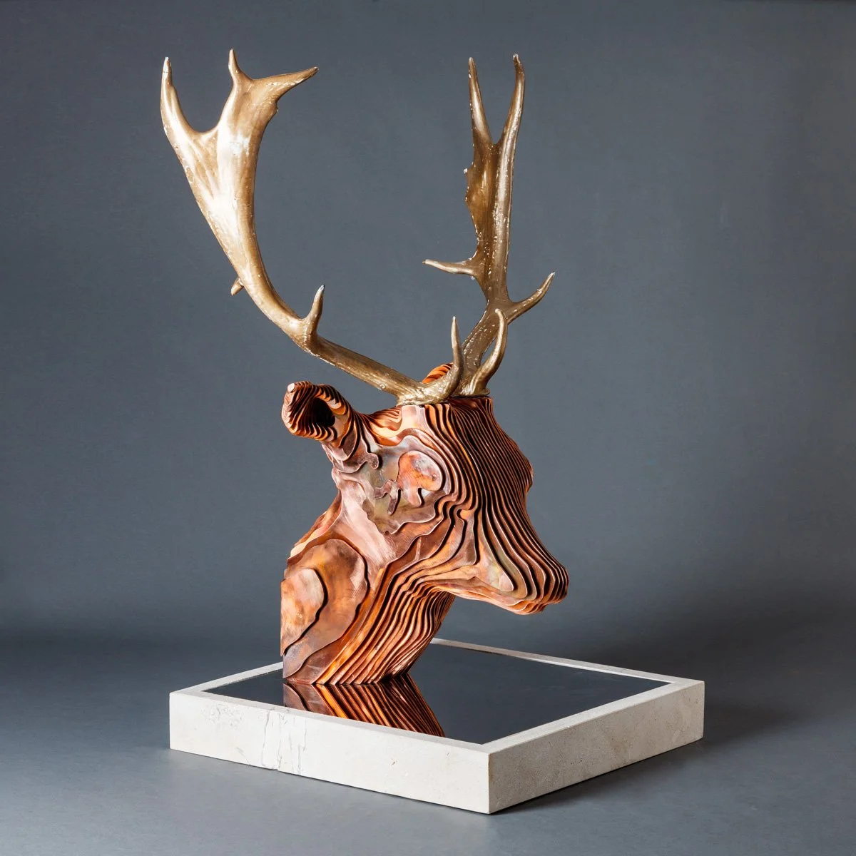 Fallow Deer