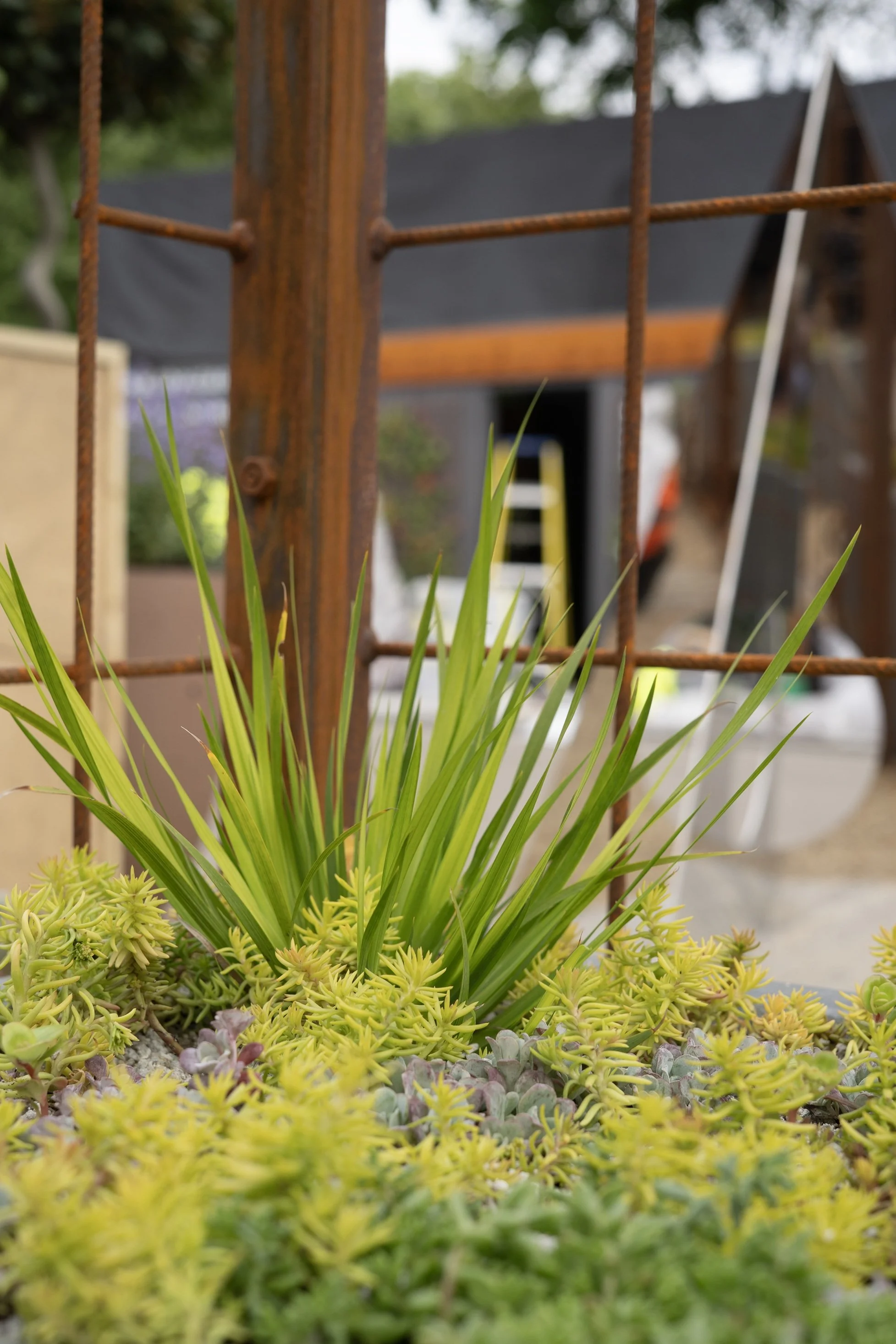 CFS25. SR151.19 - Copy.jpg