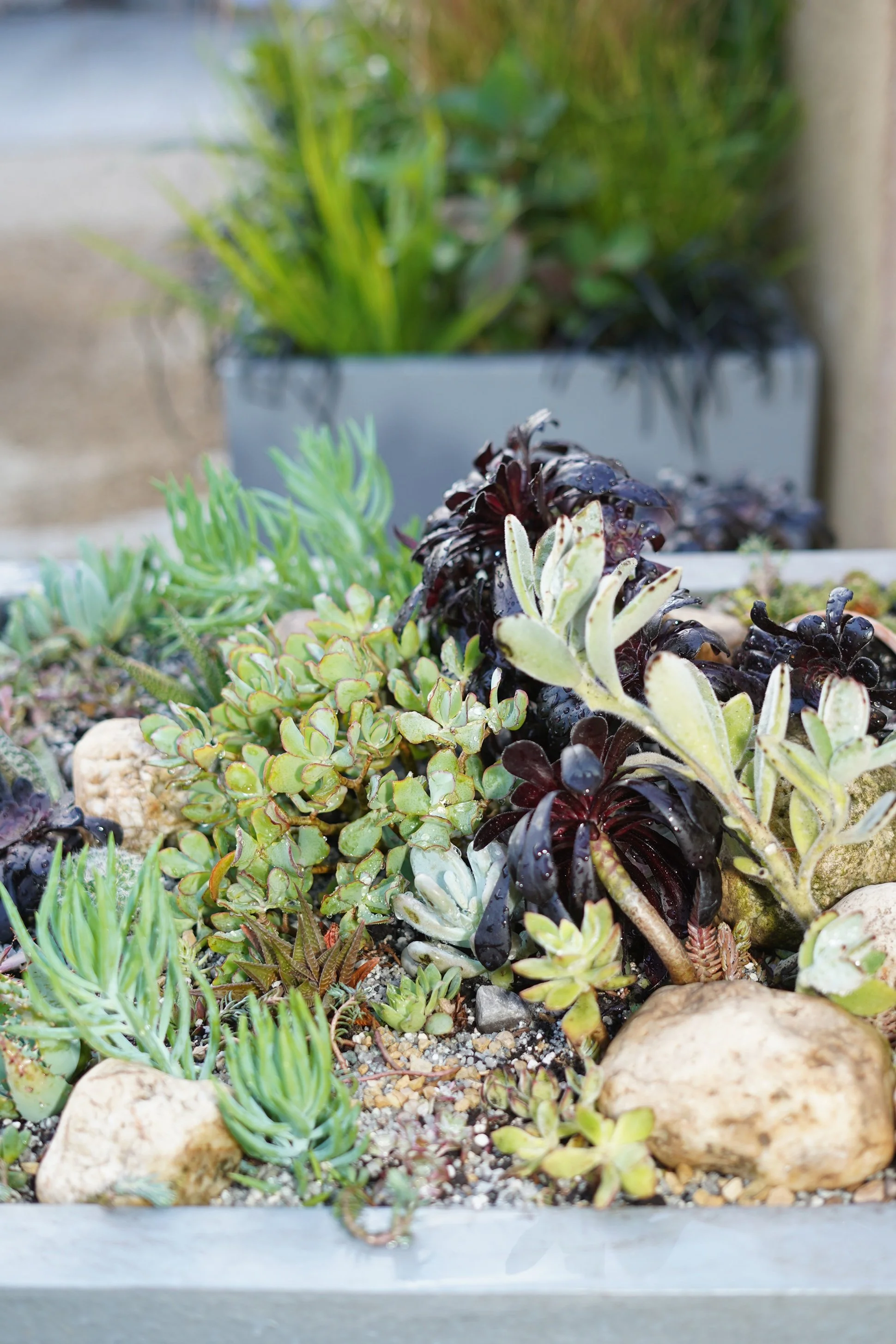 CFS25. SR151.30 - Copy.jpg