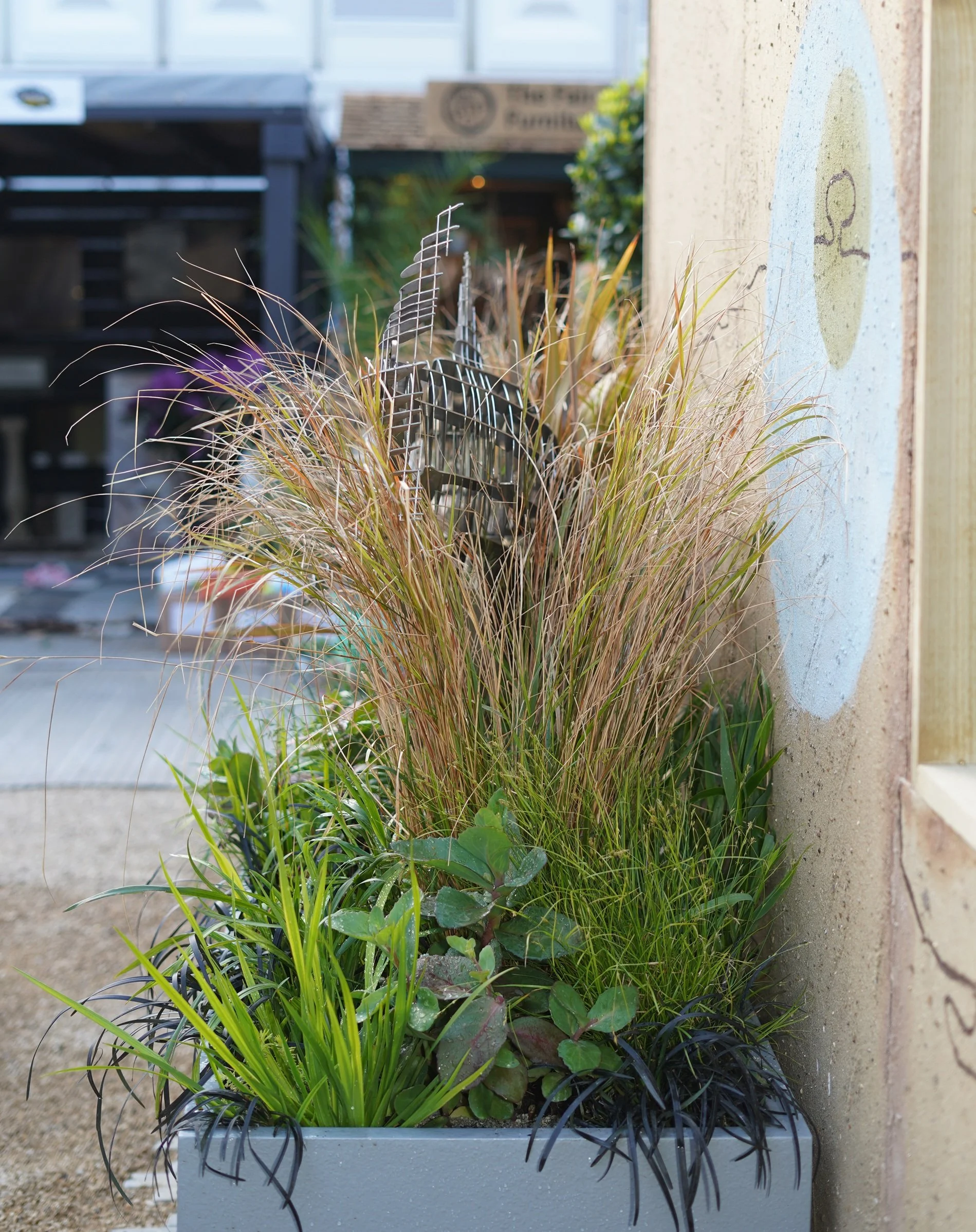 CFS25. SR151.31 - Copy.jpg