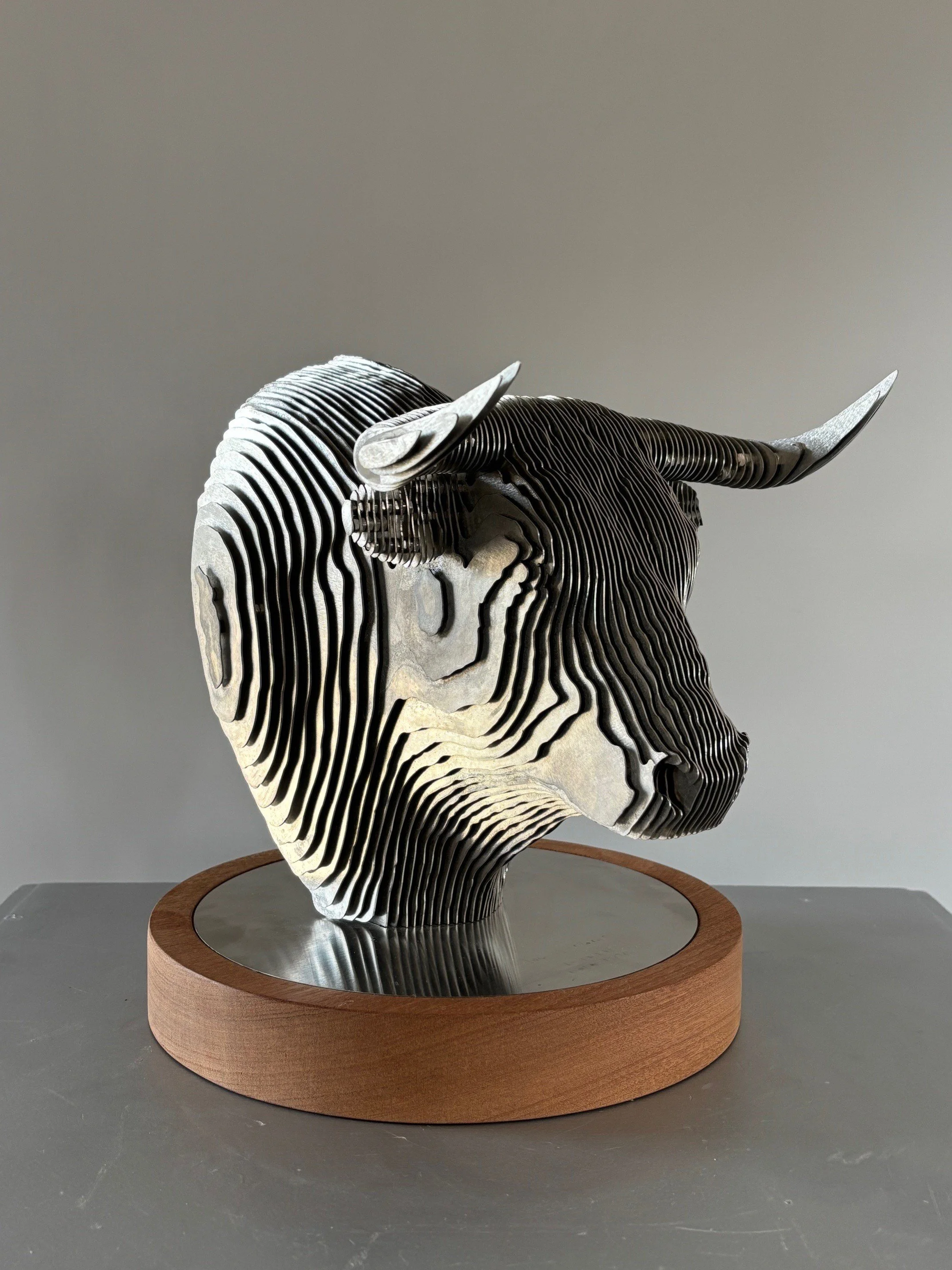 El Toro VI