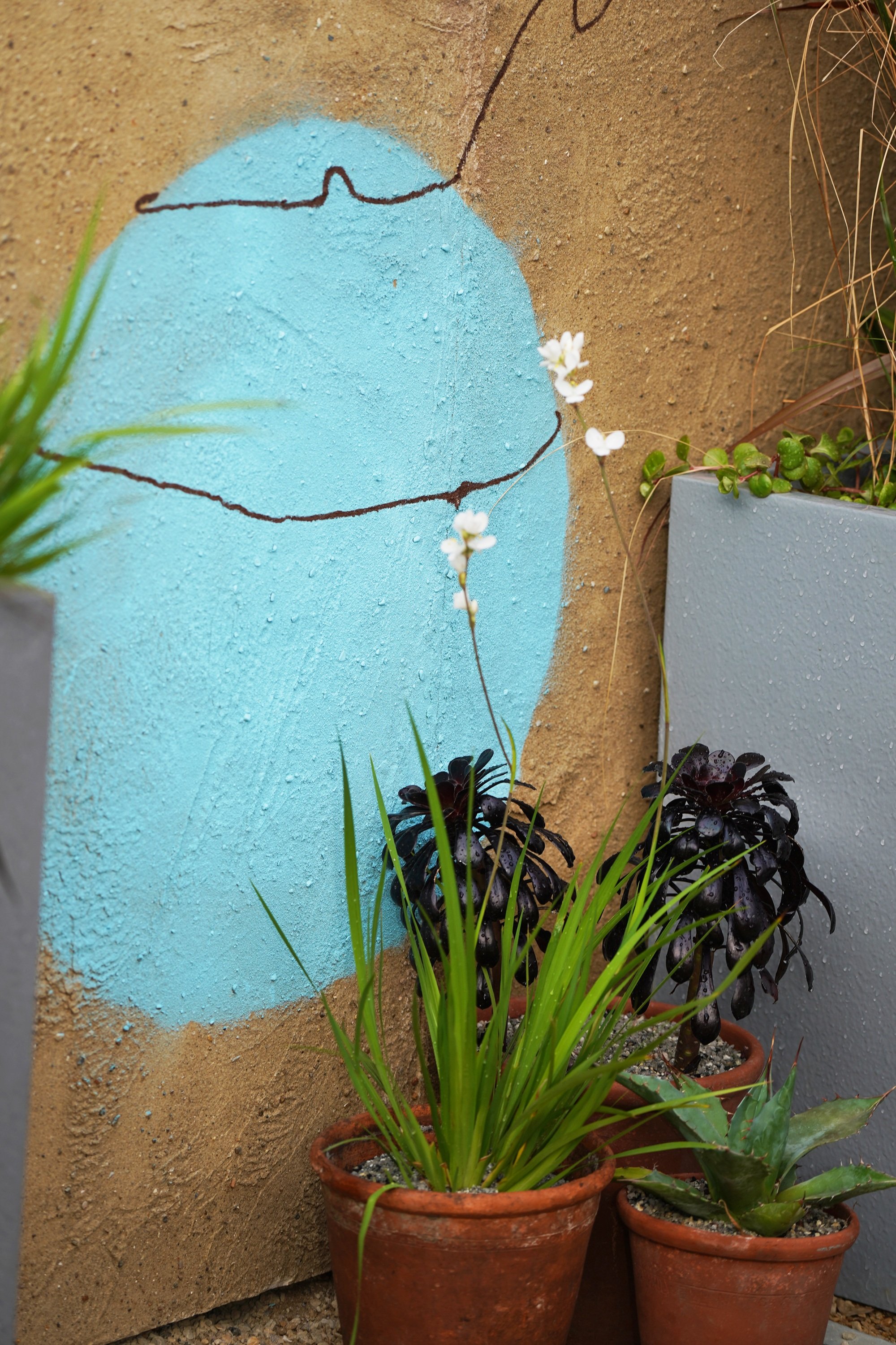 CFS25.SR151.53 - Copy.jpg