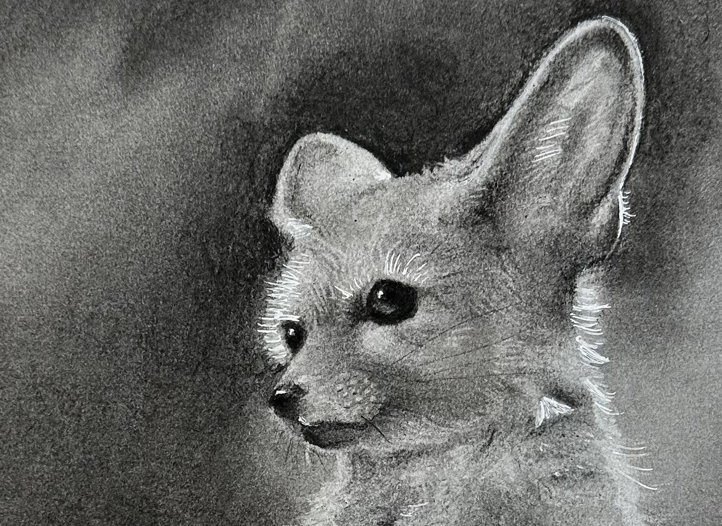 Original - Fennec Fox