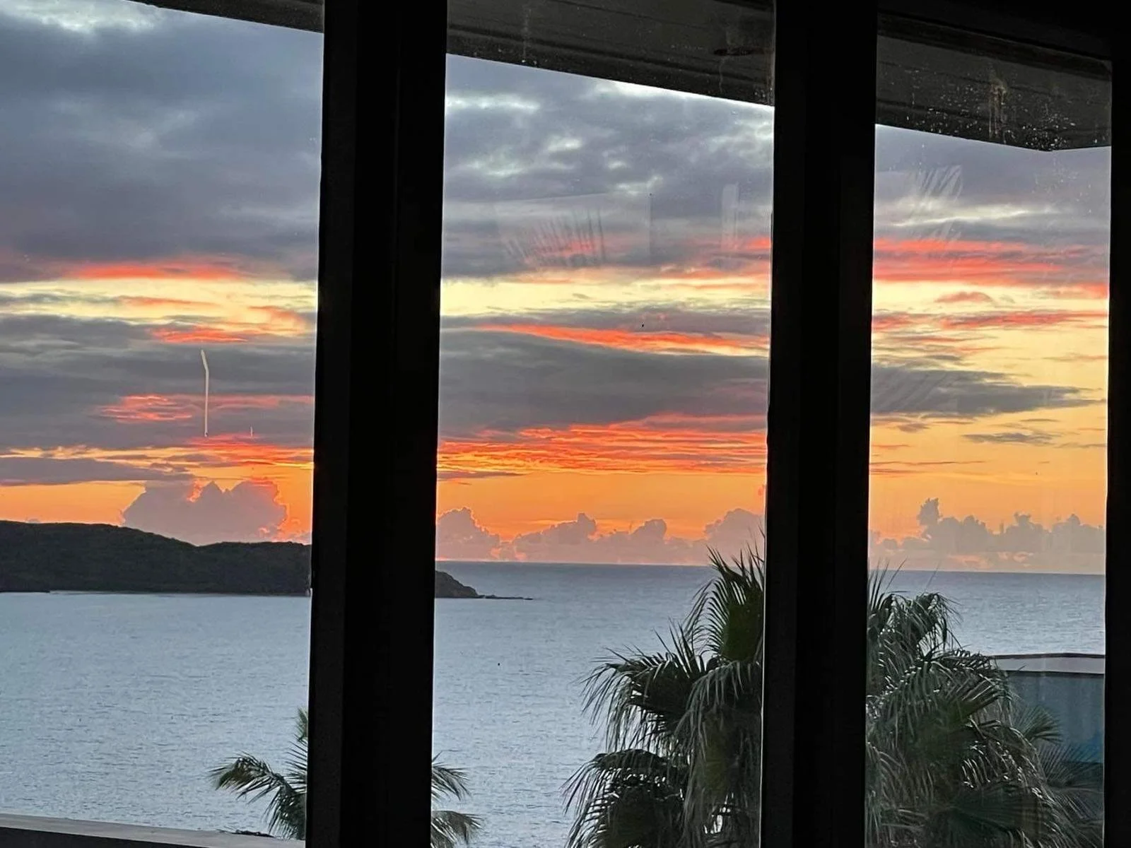 A view of a sunset over the ocean seen through a window with vertical black frames, with palm trees in the foreground.