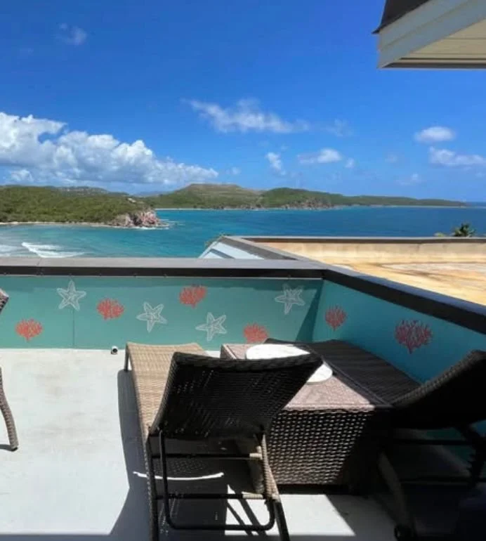 Balcony with a view of the ocean, green hills, and blue sky, decorated with starfish and coral patterns.