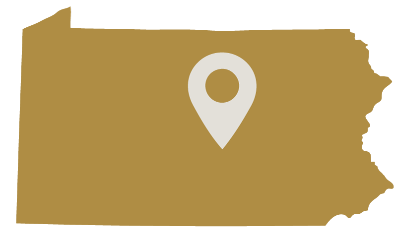 Outline map of Georgia with a location pin in the center.