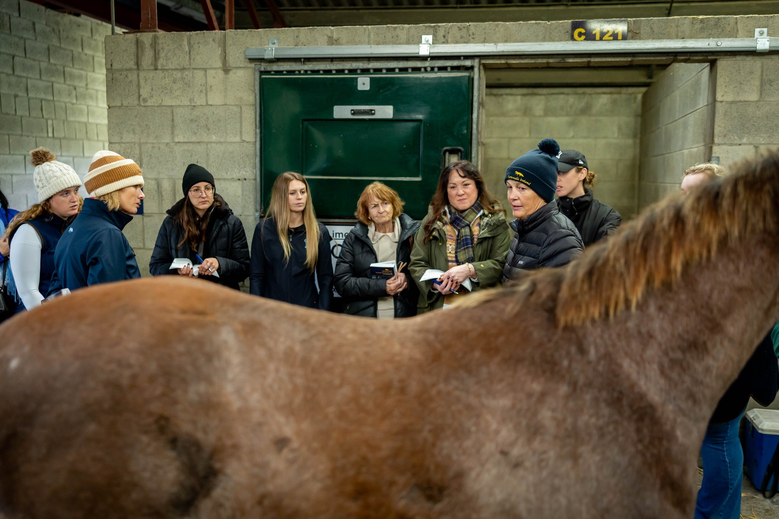 Empowering Voices: Women in Bloodstock Event Celebrated Leadership, Passion and Progress.