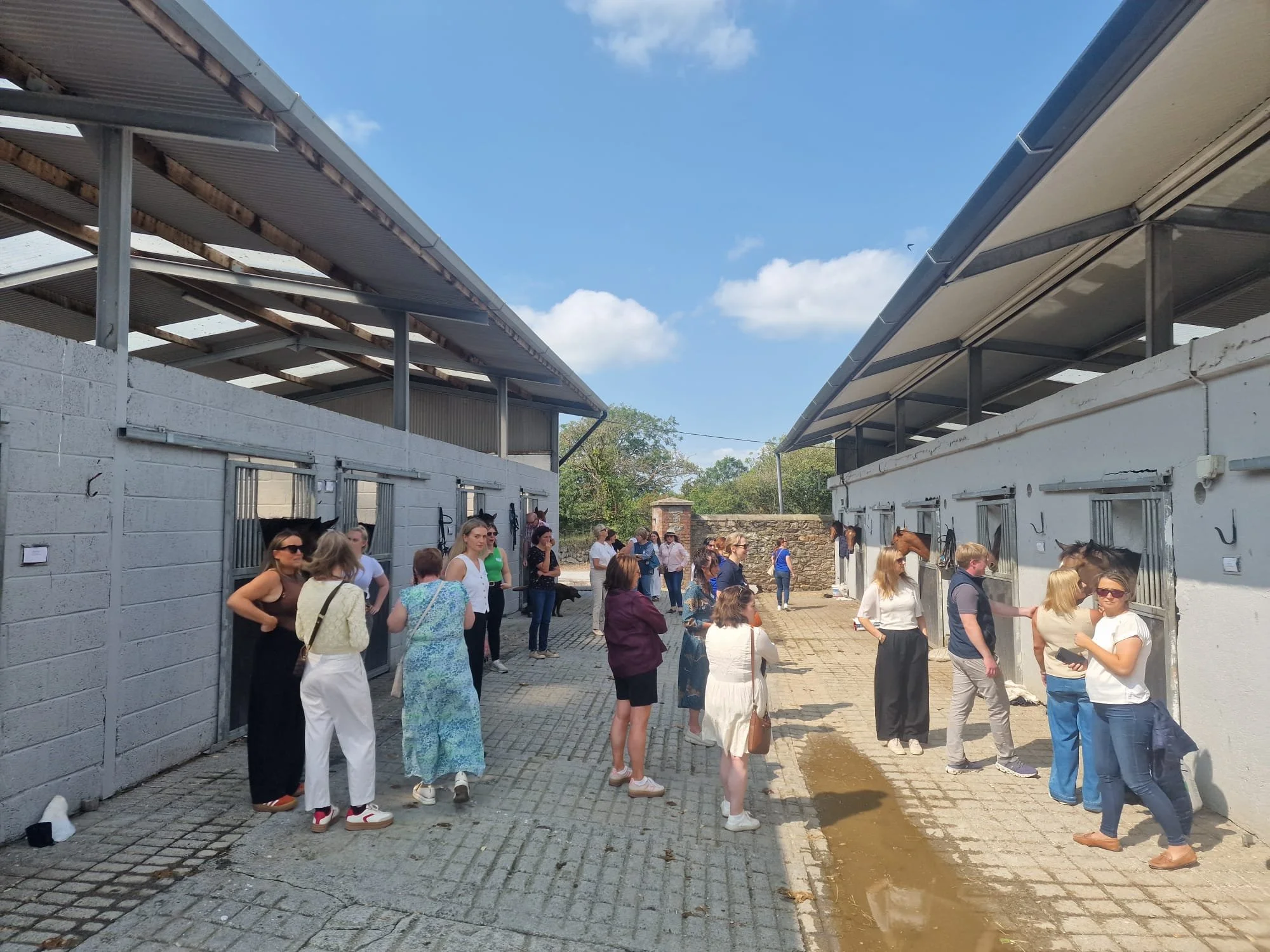 Waterford trip Group.jpeg