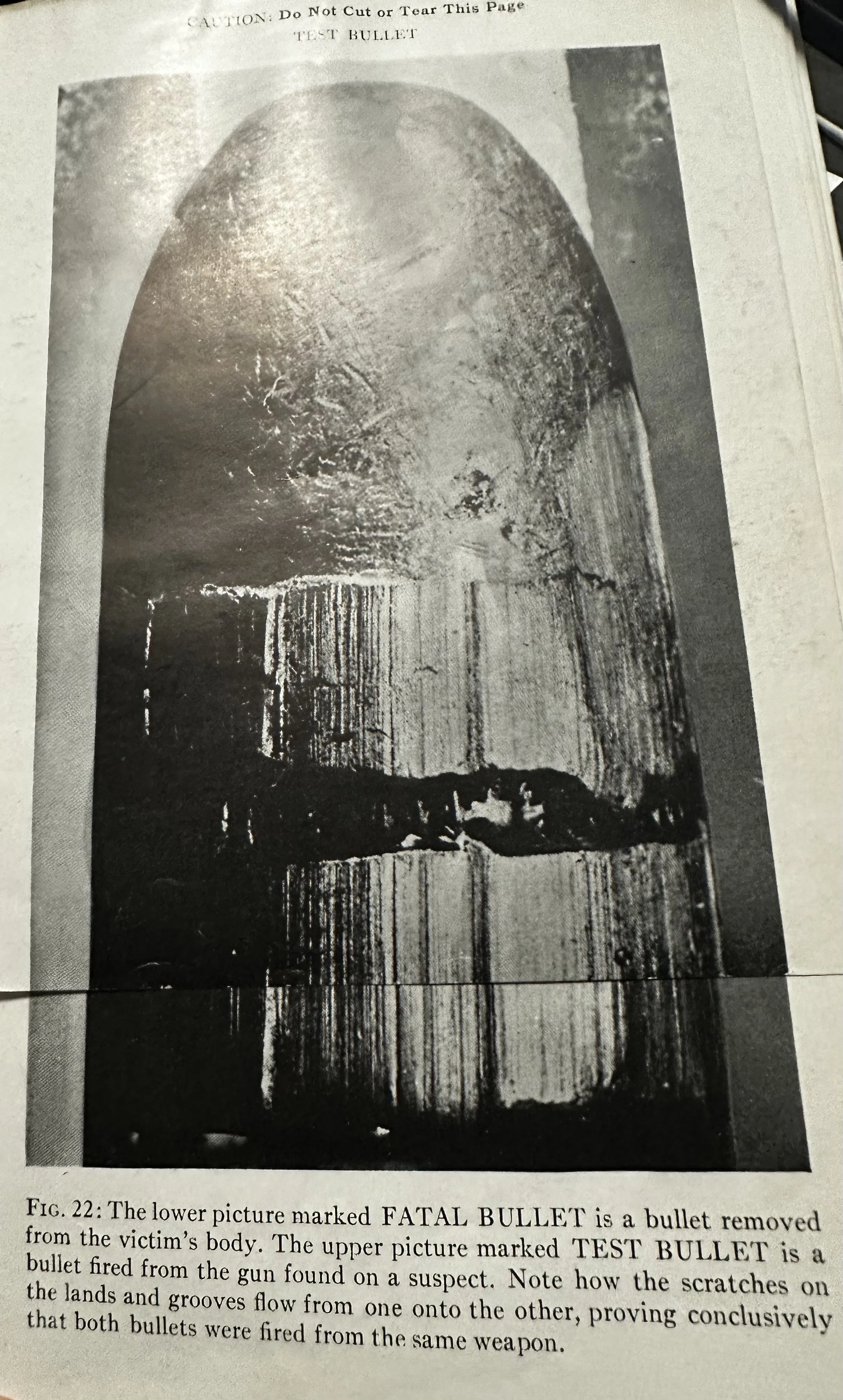 Tippit Murder-Ballistics and Forensics