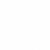 Traditional.gif