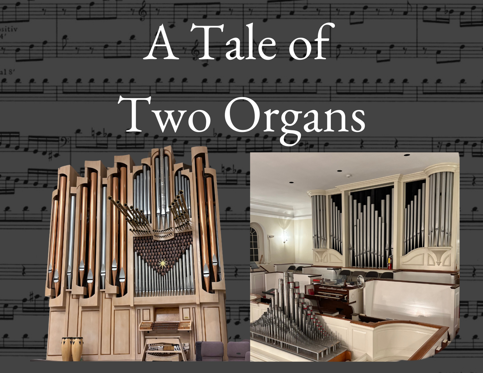 A Tale of Two Organs
