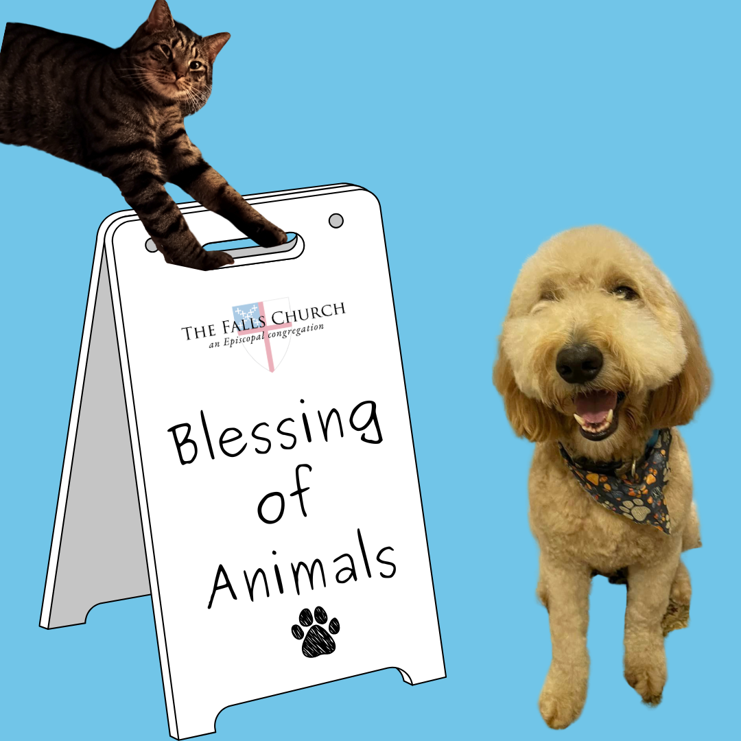 Blessing of the Animals