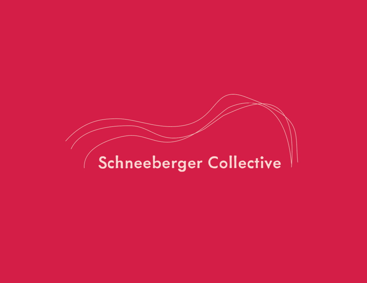 schneeberger-collective.png
