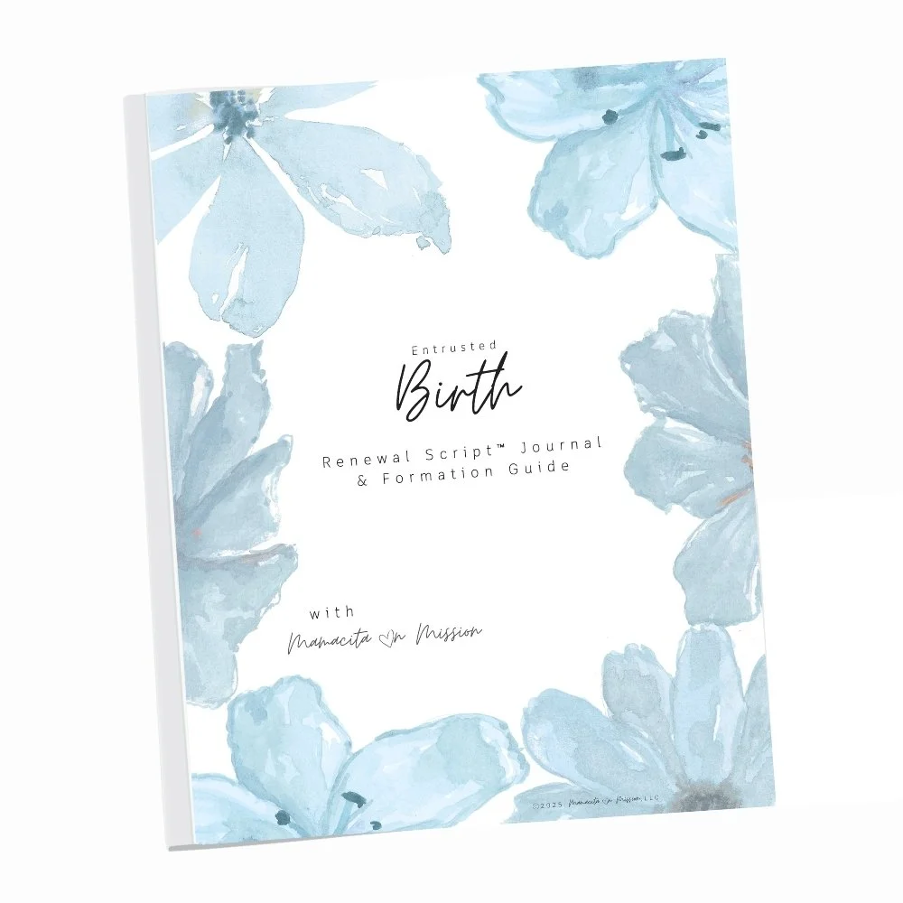 Birth Renewal Script™ Journal & Formation Guide COVER.jpg