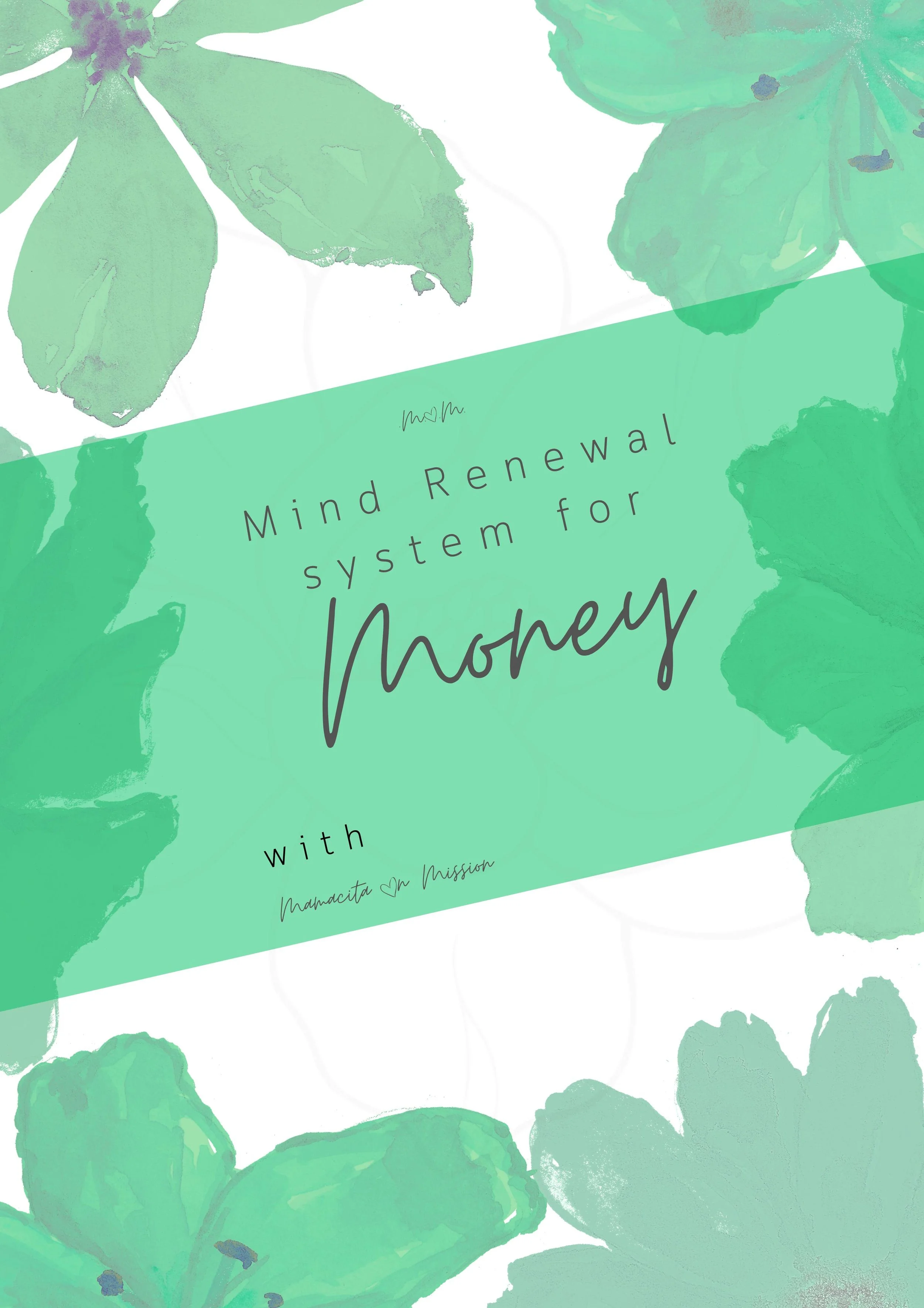Money Mind Renewal System Product Image.jpg