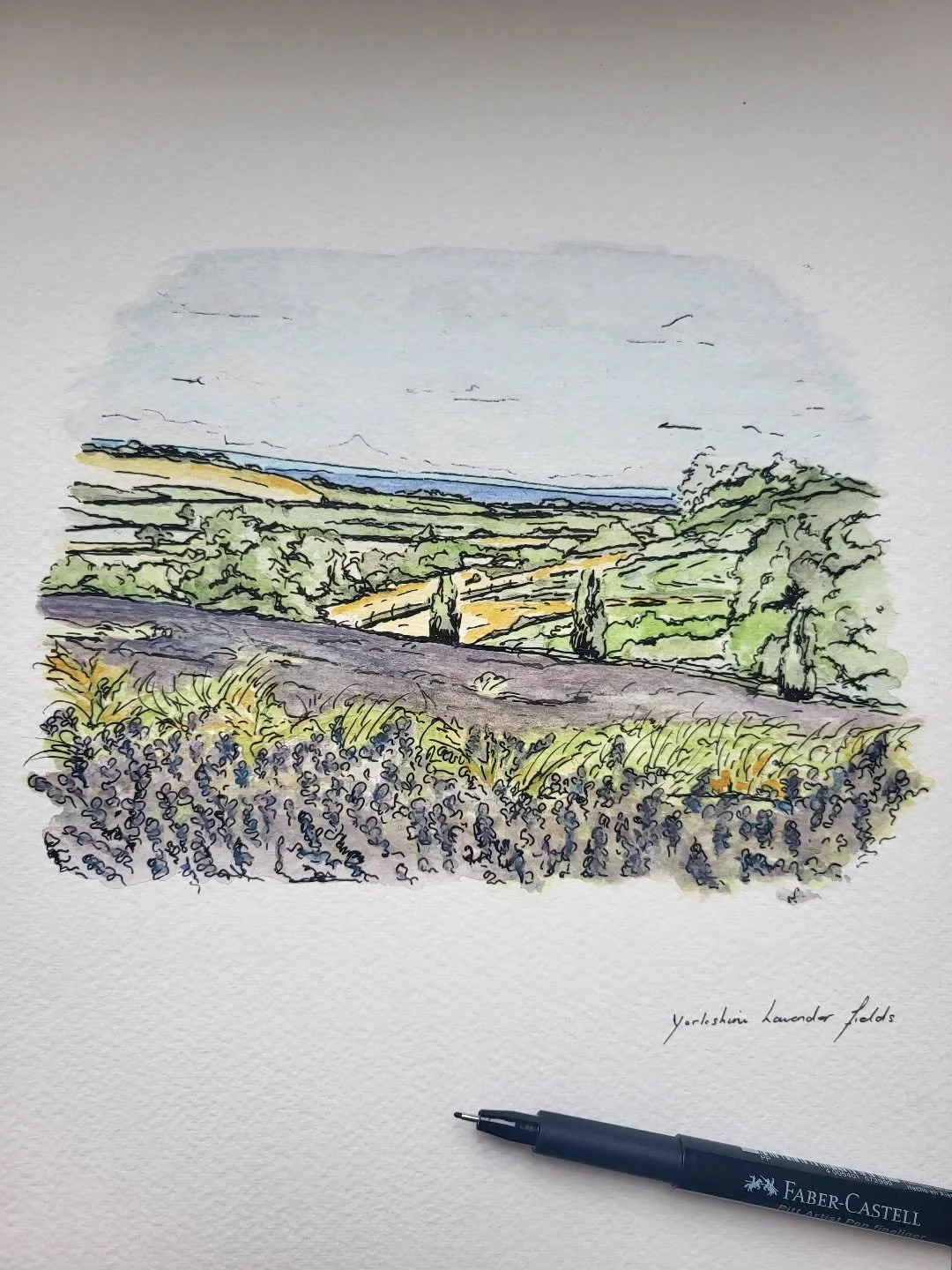 Yorkshire Lavander fields, Vale of York.
Watercolour and pen.
#watercolors #penart #yorkshire #lavander #landscapeart #nature #outdoors #valeofyork