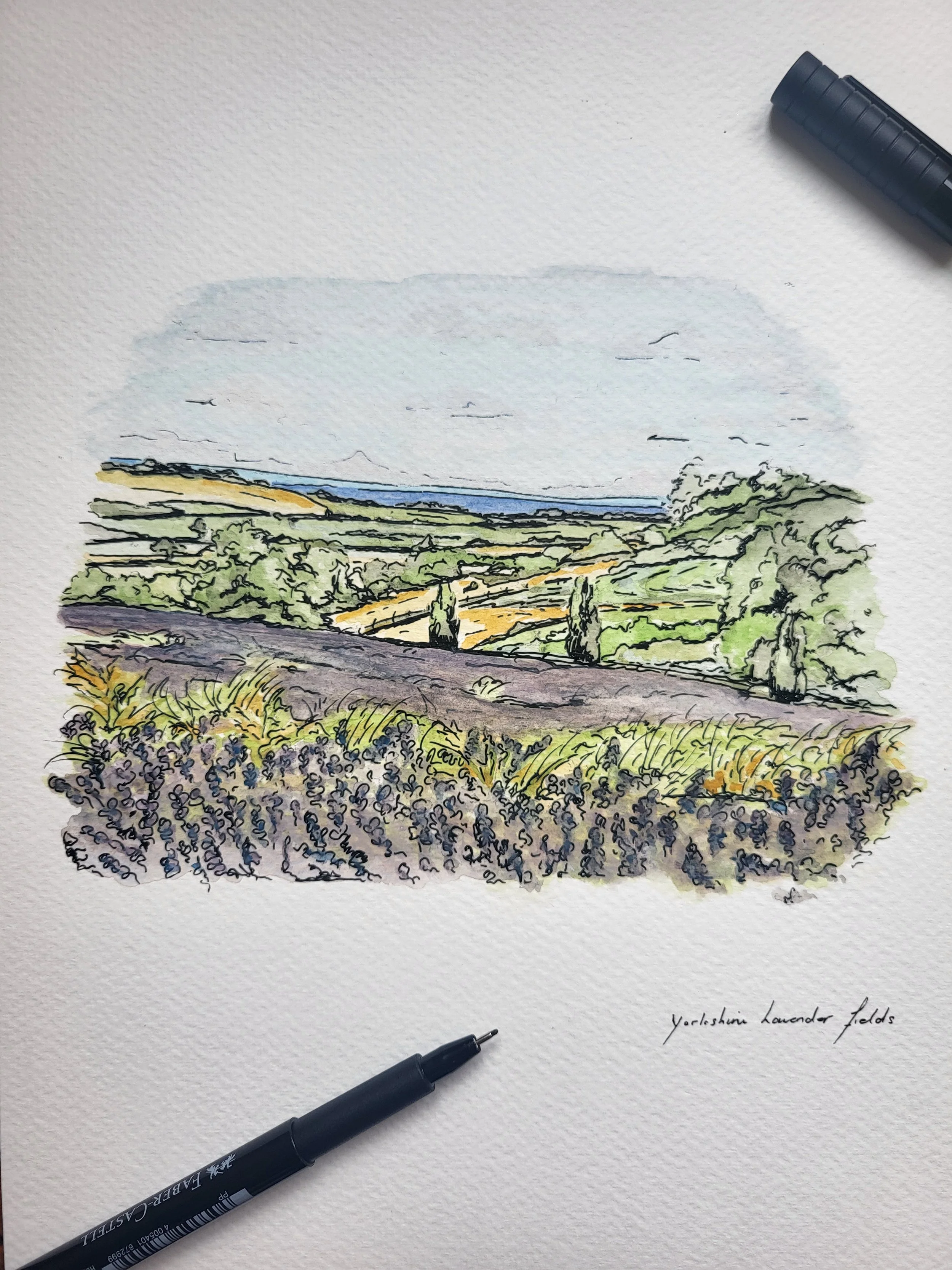 Yorkshire Lavender Fields