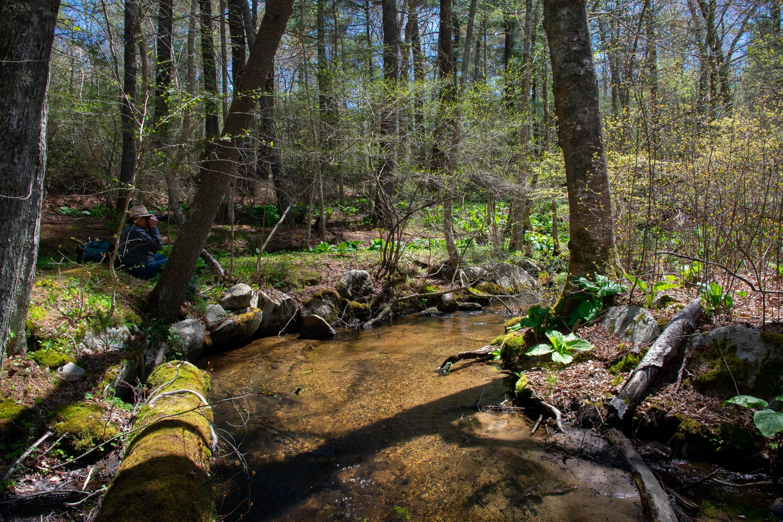 Bringing a Bog Back to Life — Julian Giordano