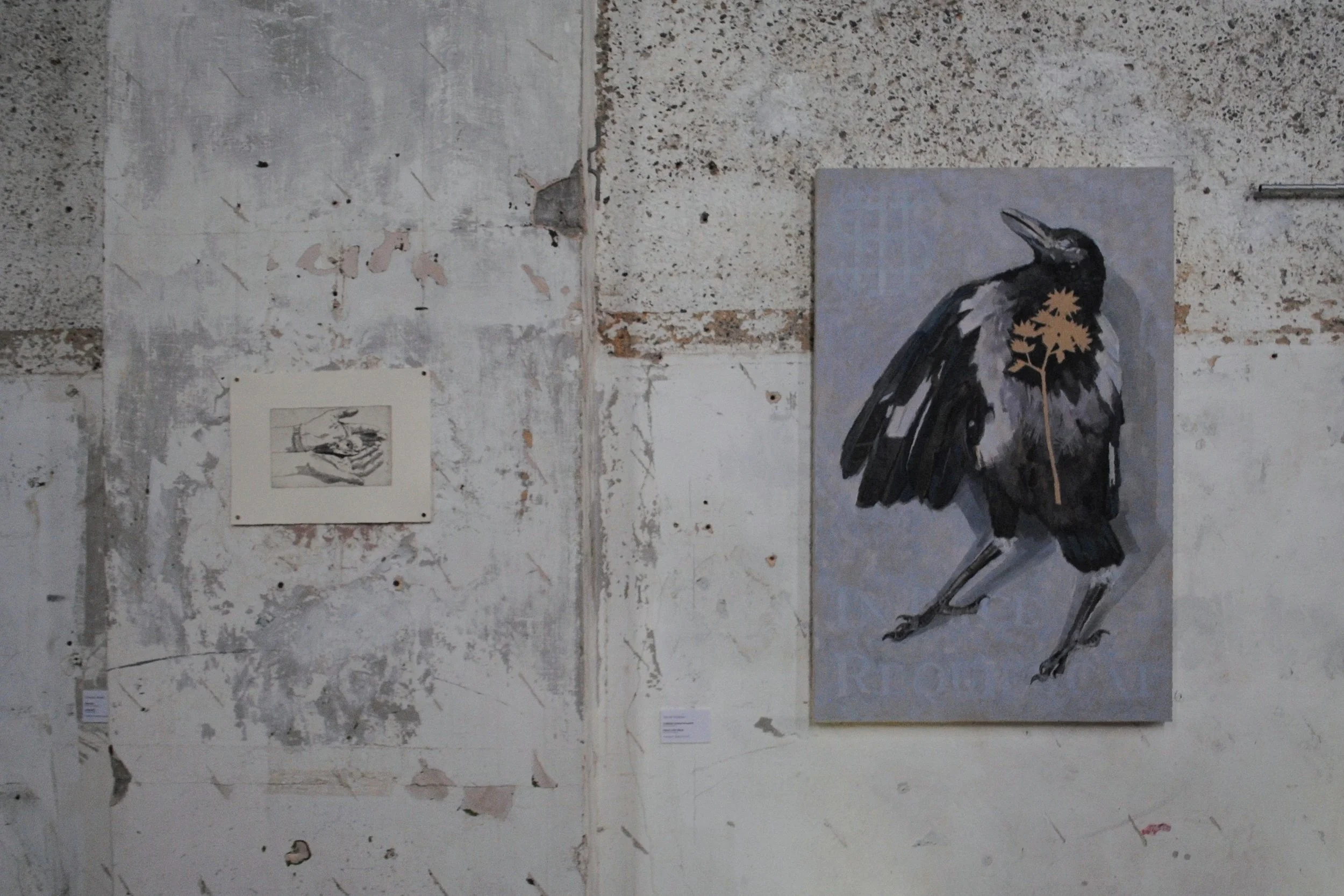 What Now - Southwark Park Gallery - January 2025