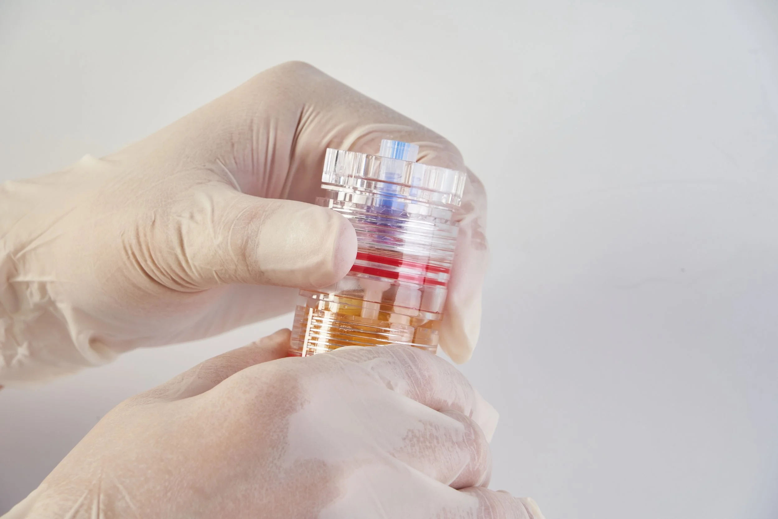 NOVASTEM KIT 3.jpg