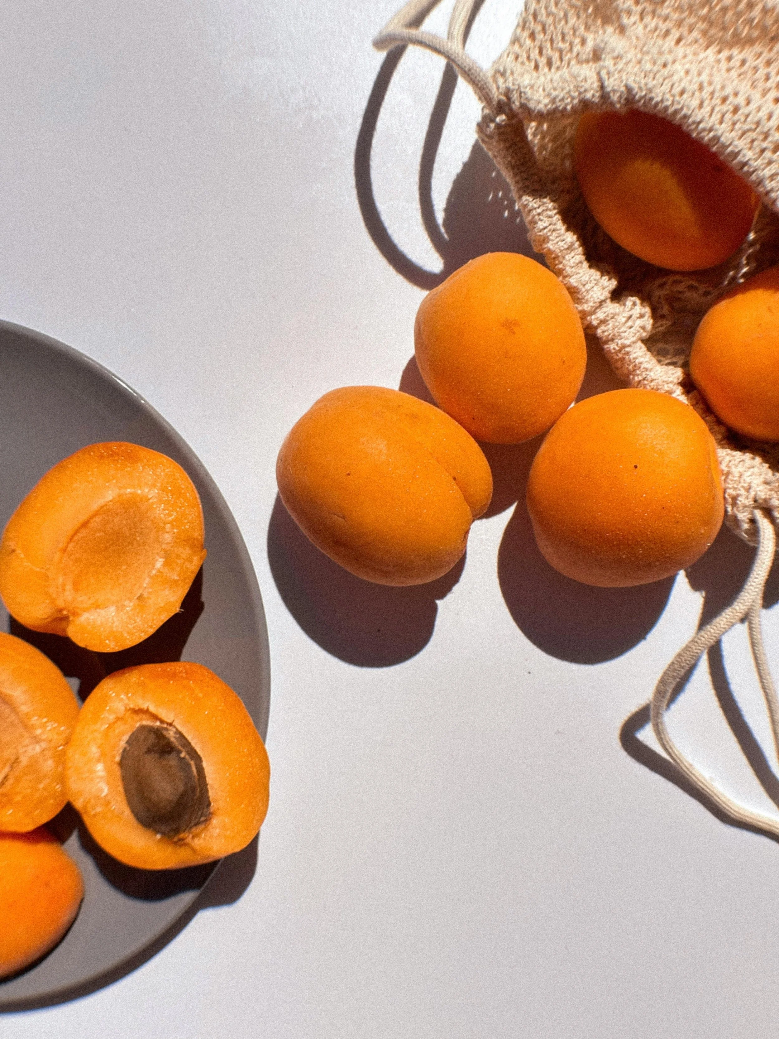 Nutrition, Home, and Lifestyle Guidance