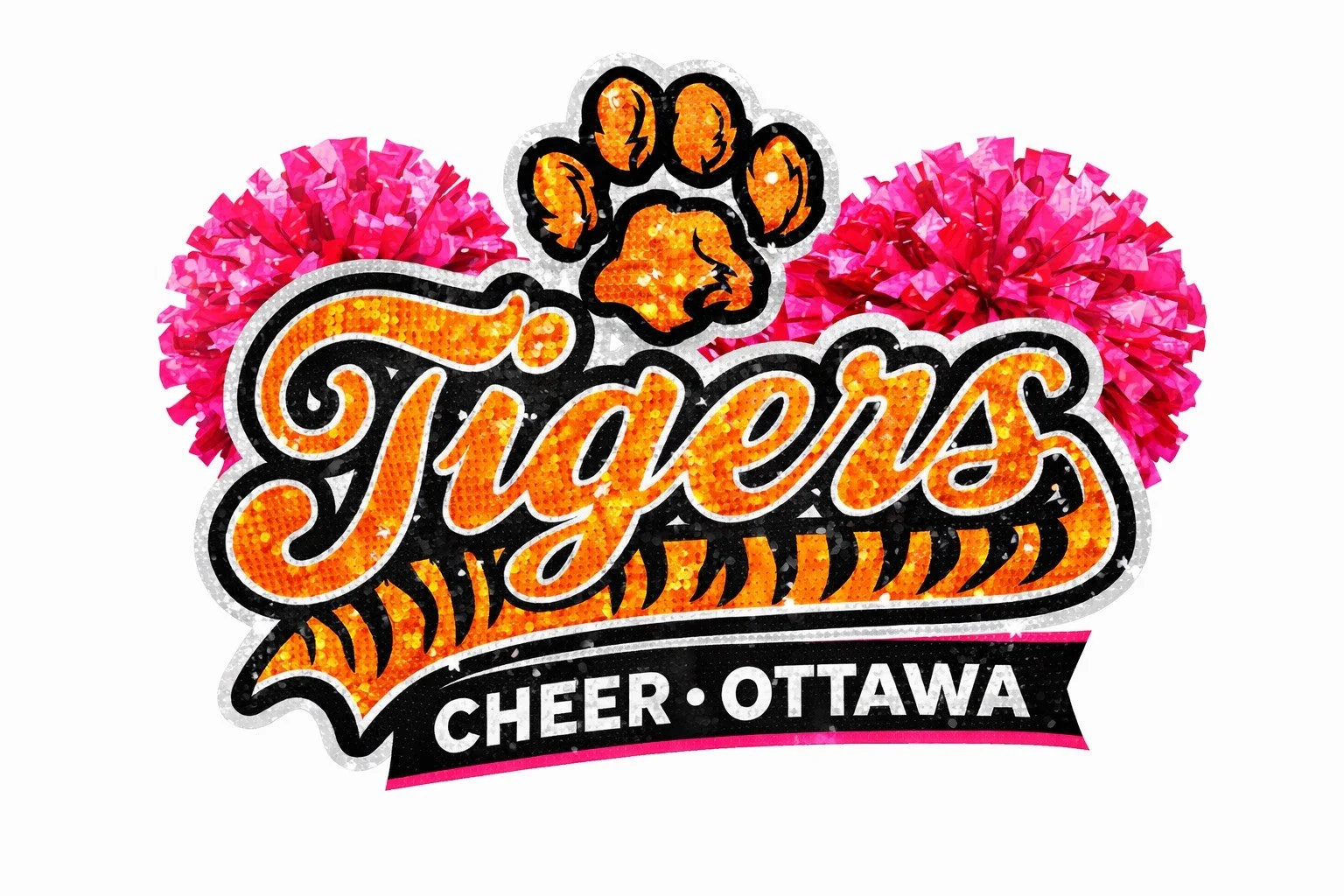 Tigers Cheer Ottawa - Summer Camp 2026 Registration