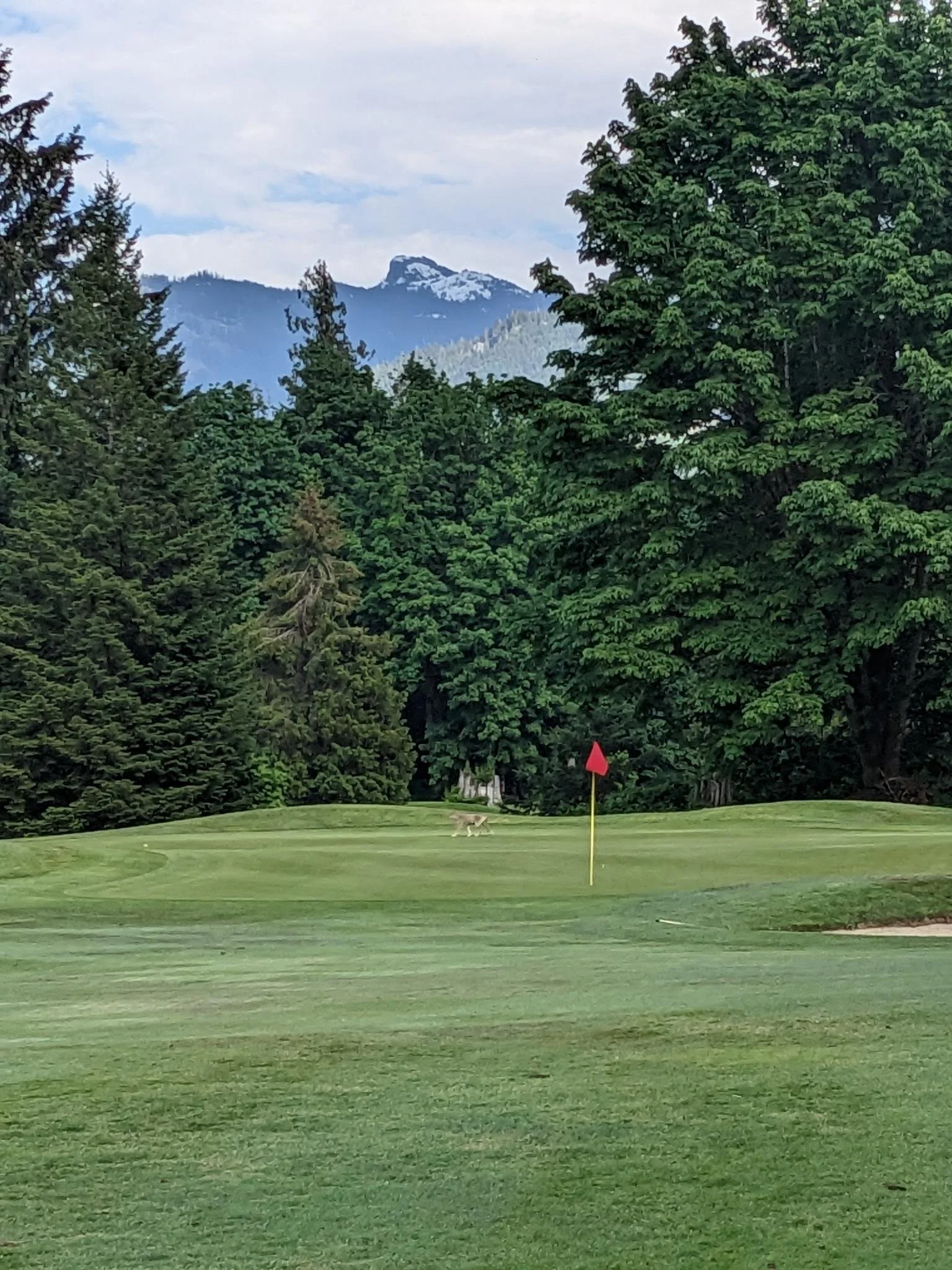 Why Most Software Teams Fail SR&amp;ED Documentation (and How to Stay CRA-Compliant)