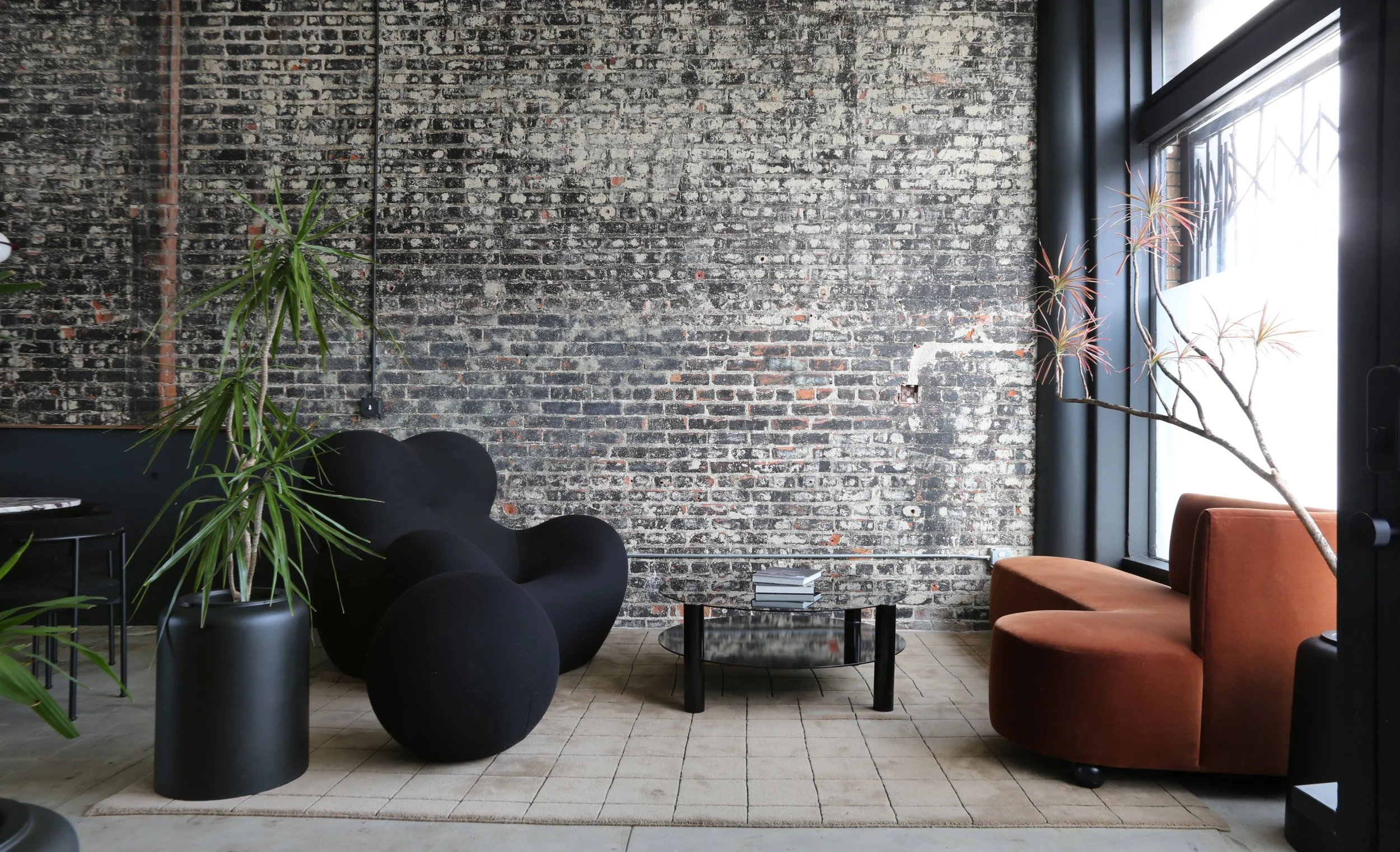 2023-10-09 10.11.08.jpg