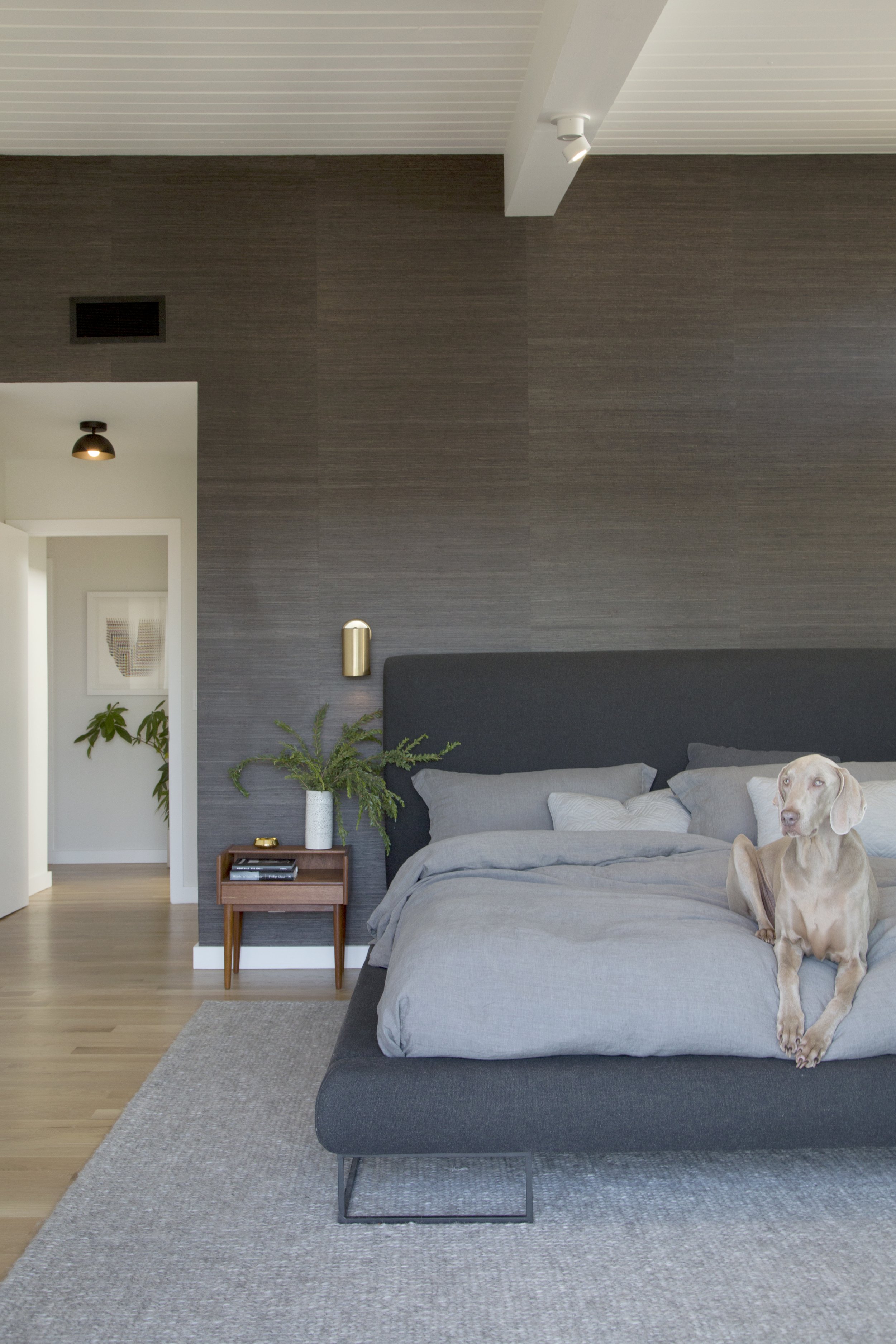 4E2A0265 light copy.jpg