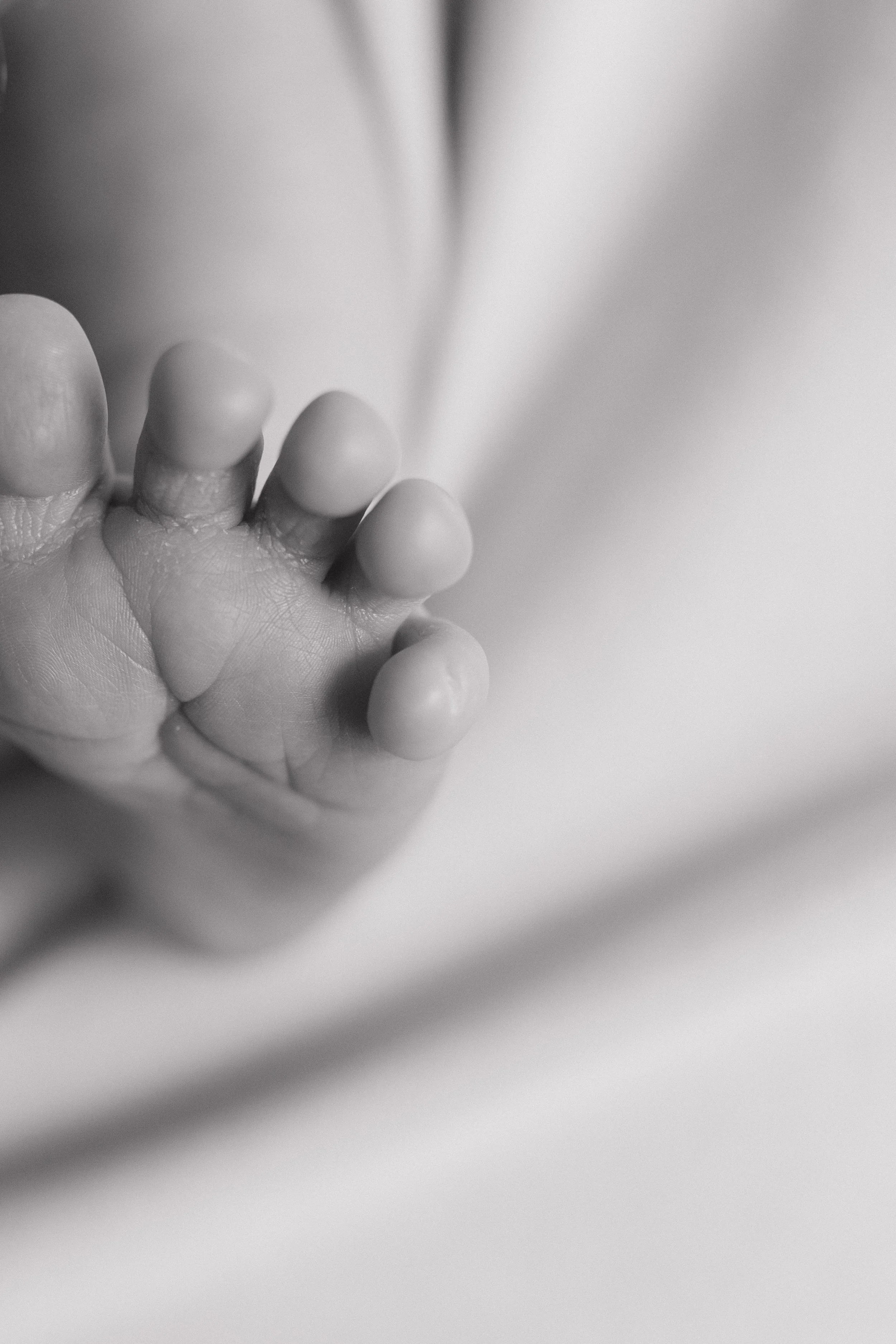 Close-up of a baby's foot in a black-and-white photo in Memphis, TN. 