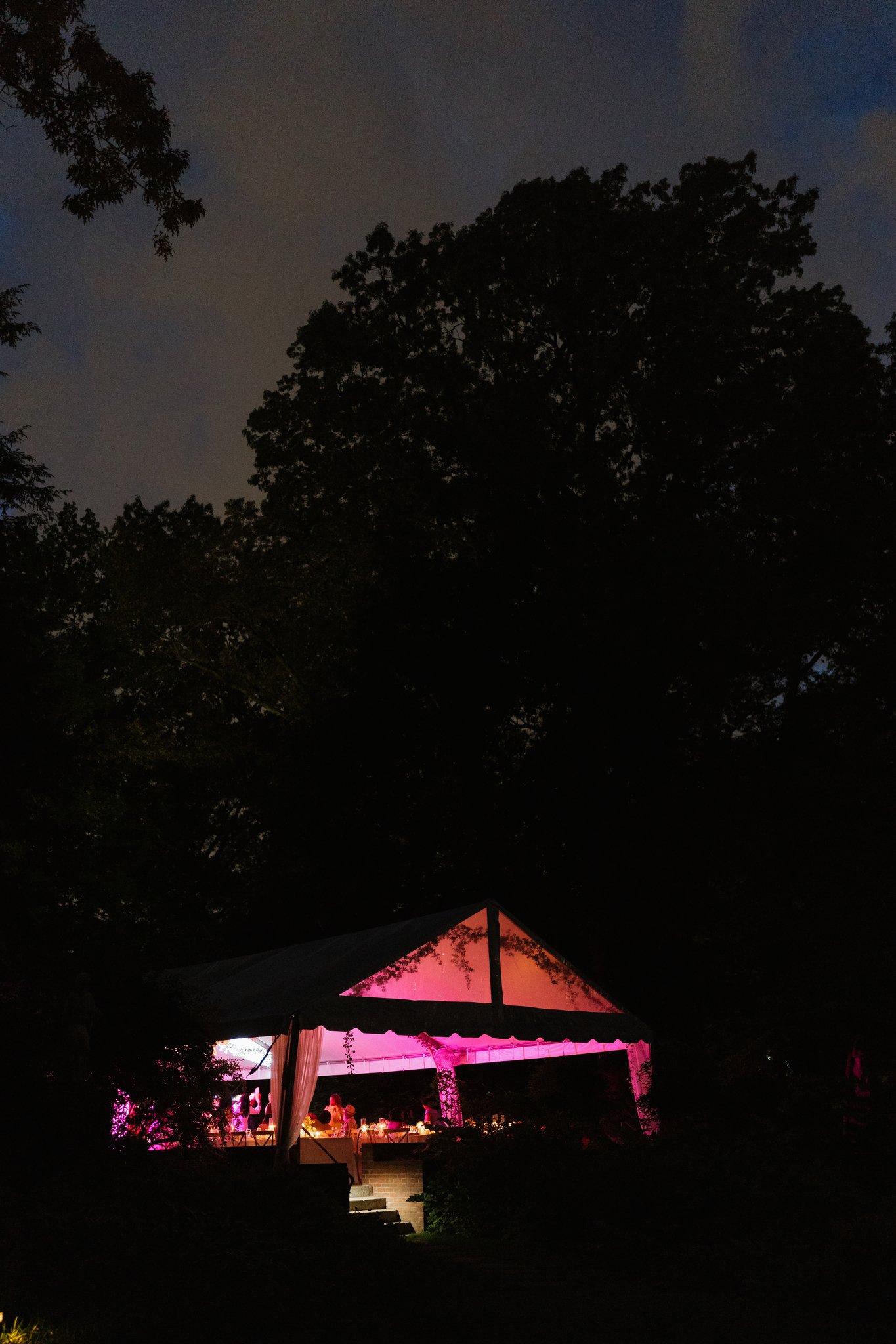 Night scene with large trees silhouetted against the sky, a brightly lit outdoor stage or pavilion with pink lighting, and people gathered underneath. The stage has a pink illuminated canopy and appears to be hosting an event or gathering in Memphis,