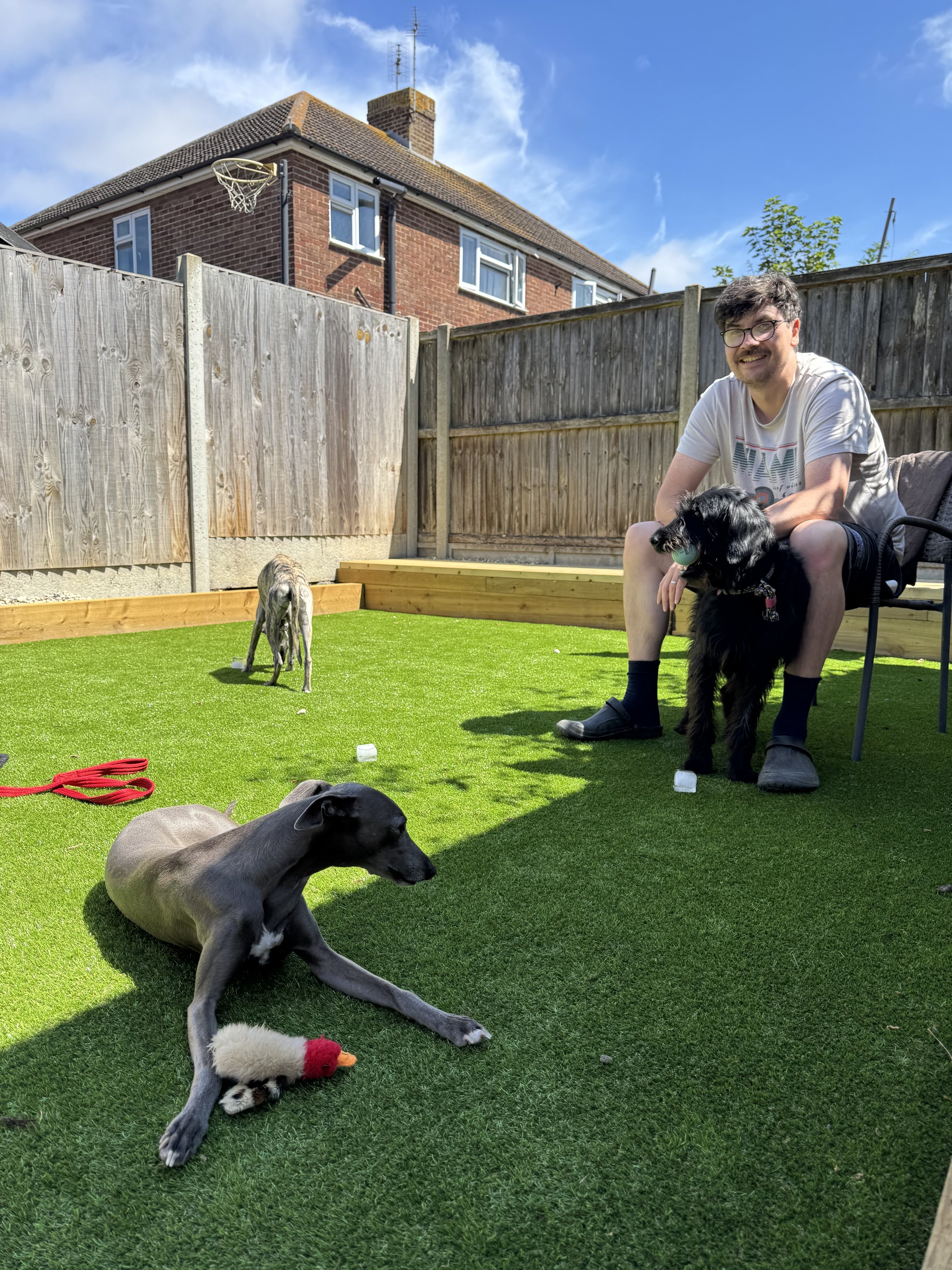 A man with glasses and a beard sitting on a garden chair, surrounded by three dogs on a sunny day. One dog is lying on the grass with a toy, another dog is sitting with a ball near its paws, and the third dog is standing, facing away from the camera.