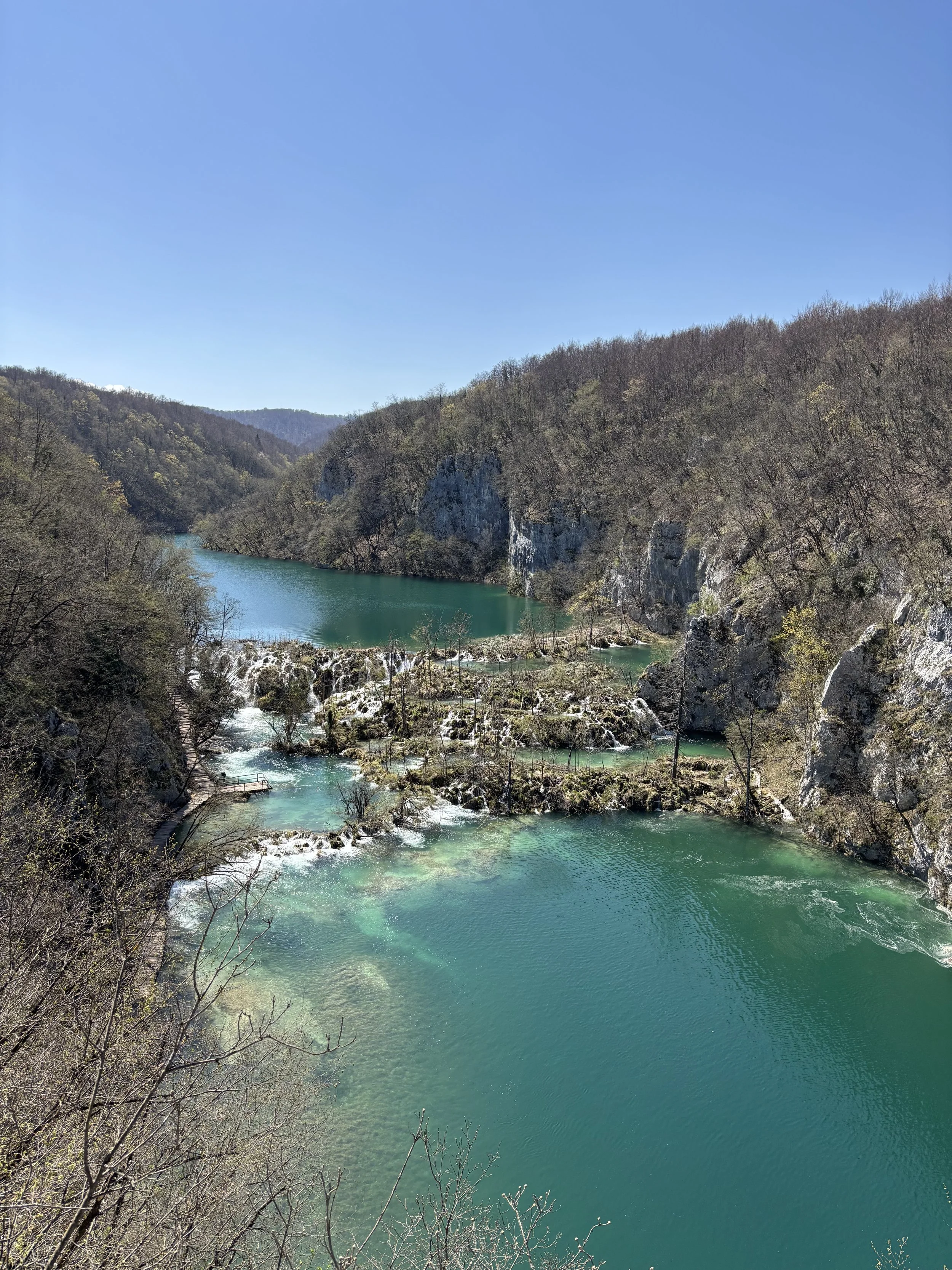 Scenic view of a river flowing through a canyon with rocky cliffs and trees, under a clear blue sky.