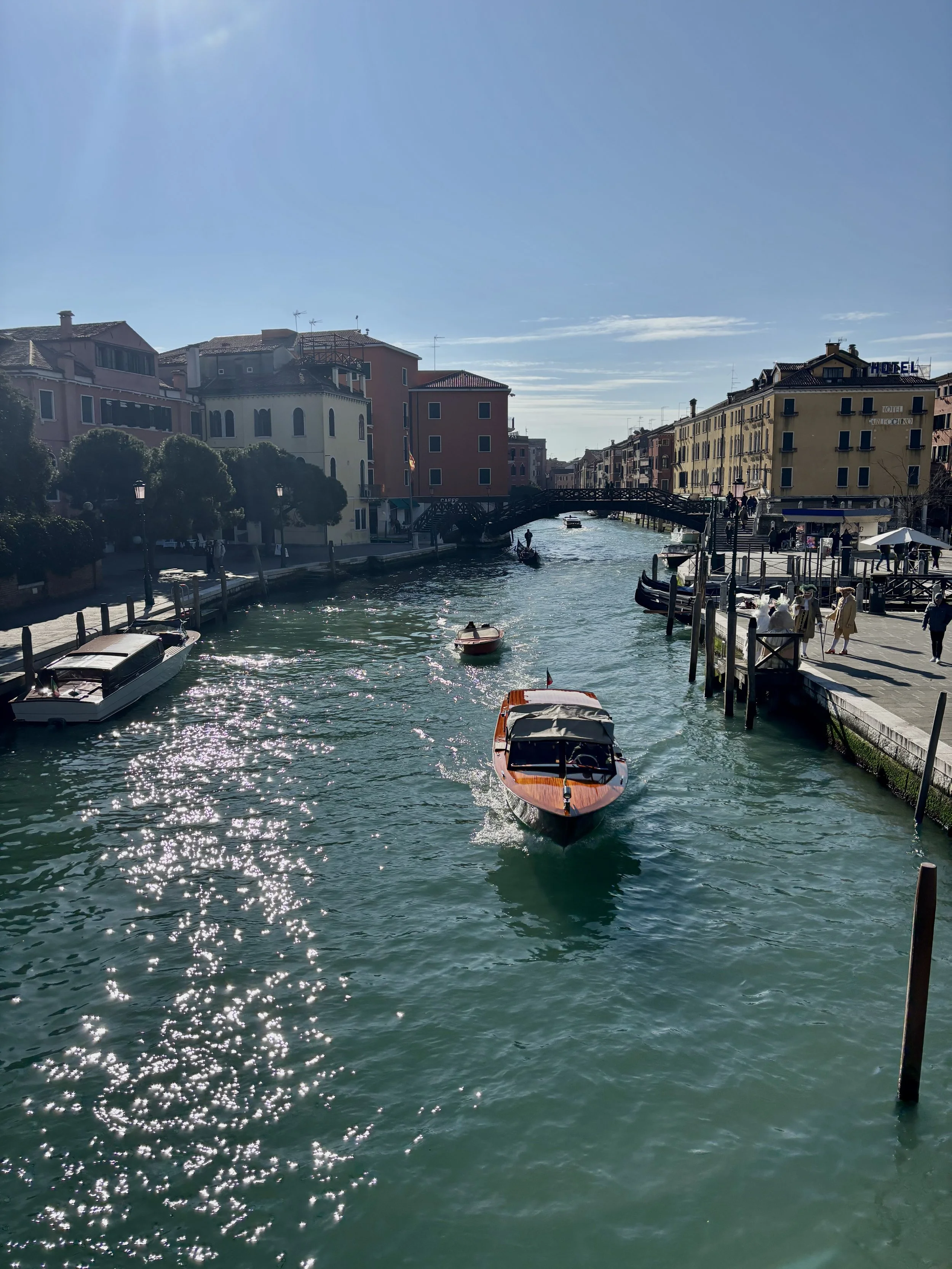 IMG_7202.jpeg