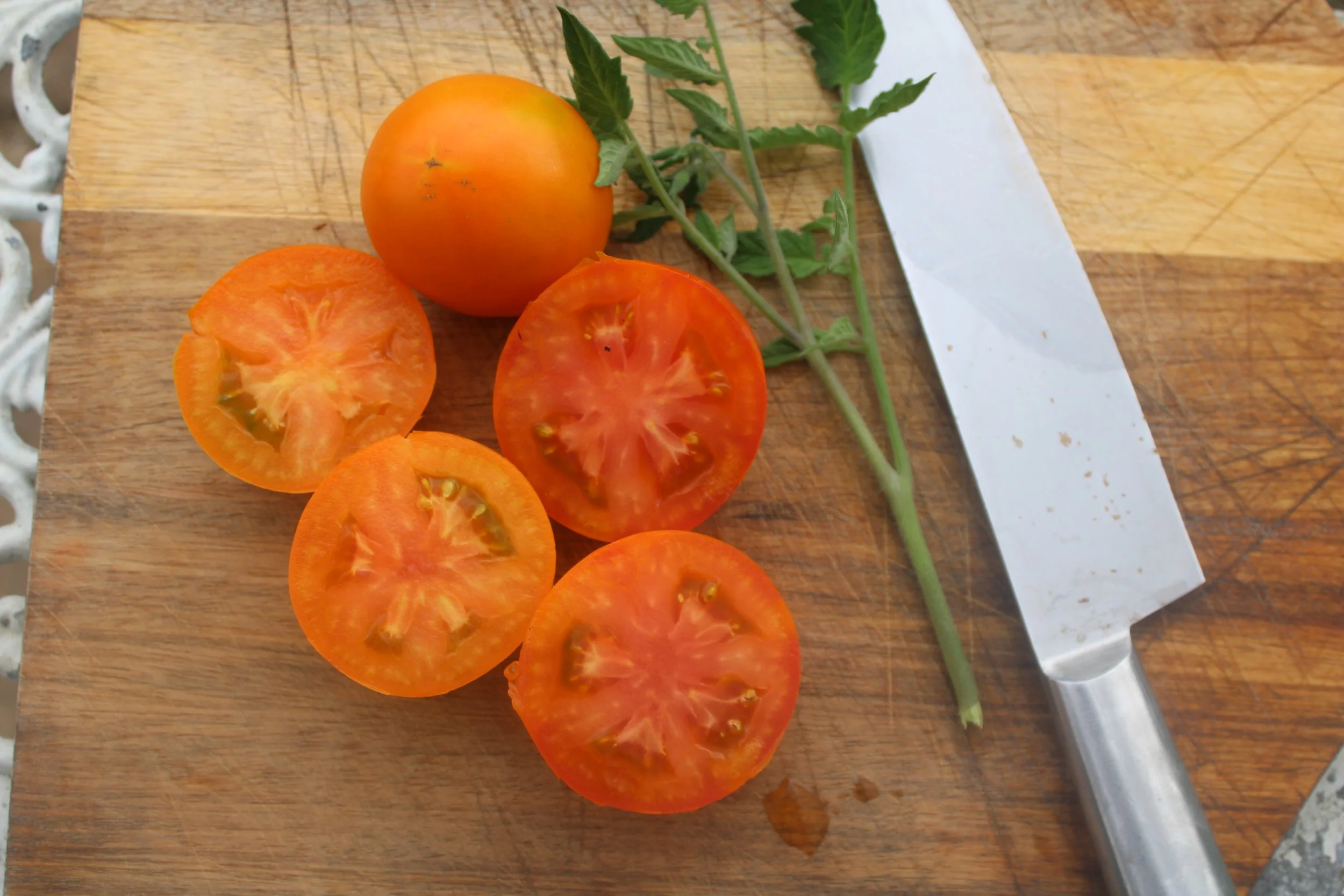 Thunder Mountain — The Tomato Lab