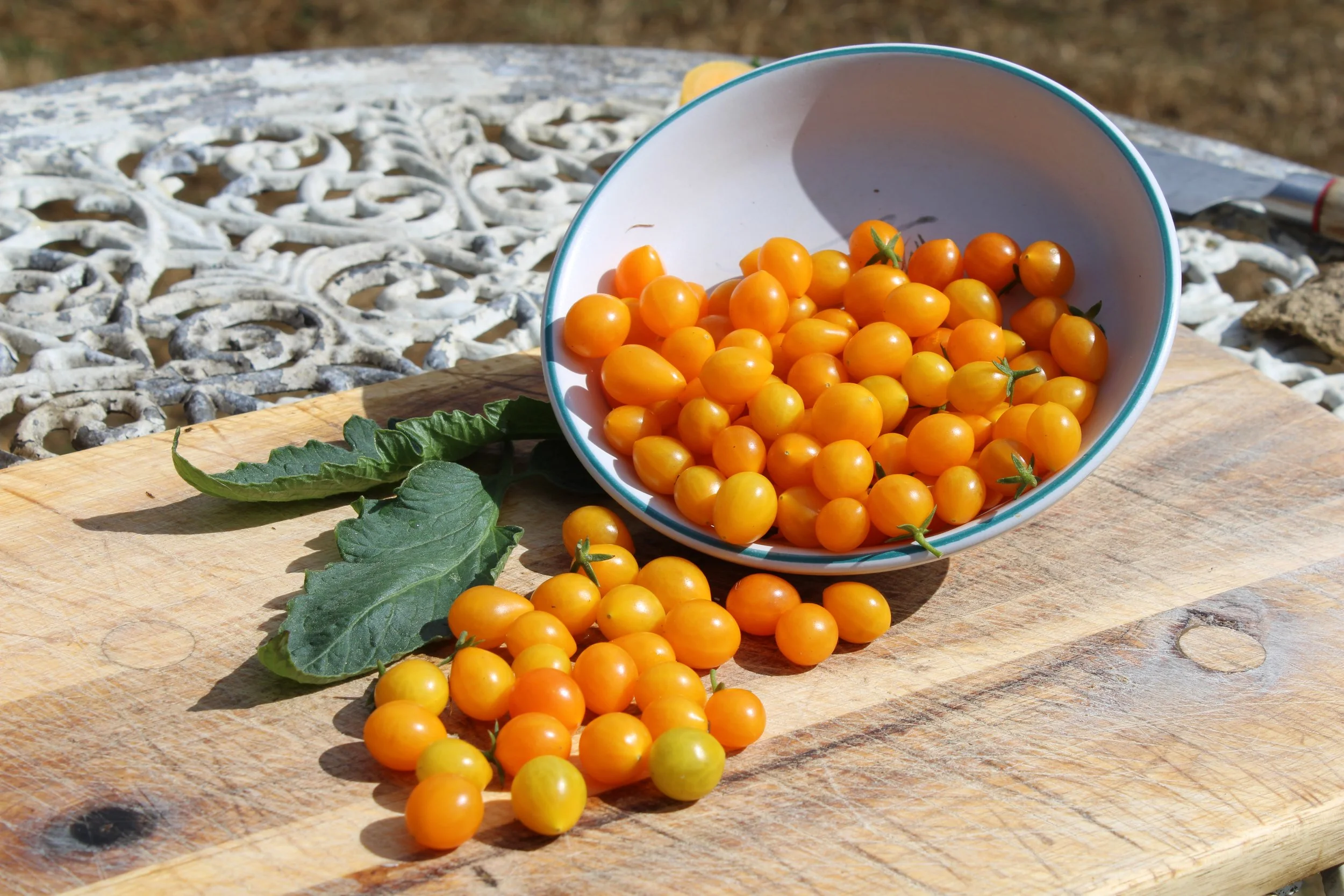 Microberry