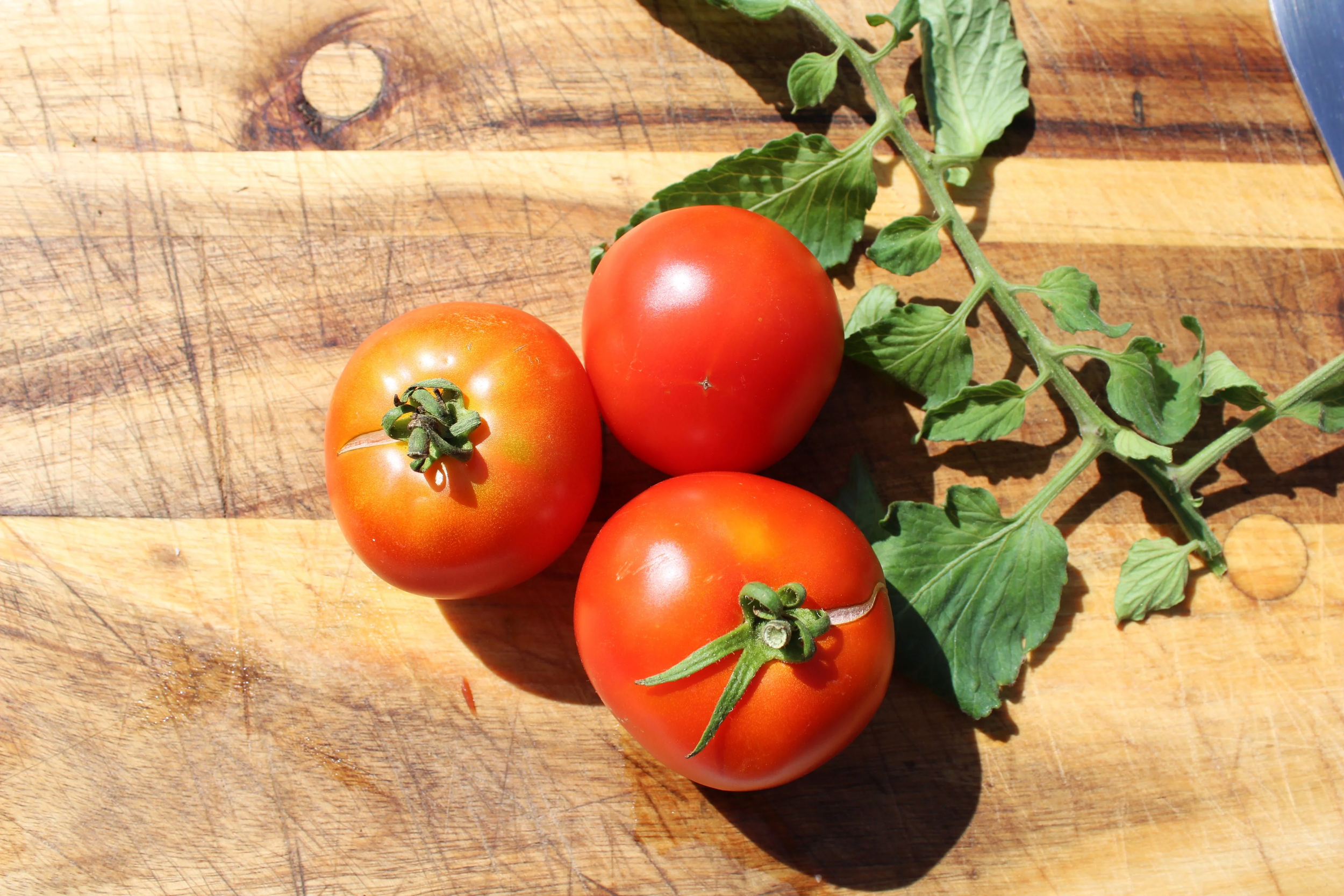 IMG_2260.png