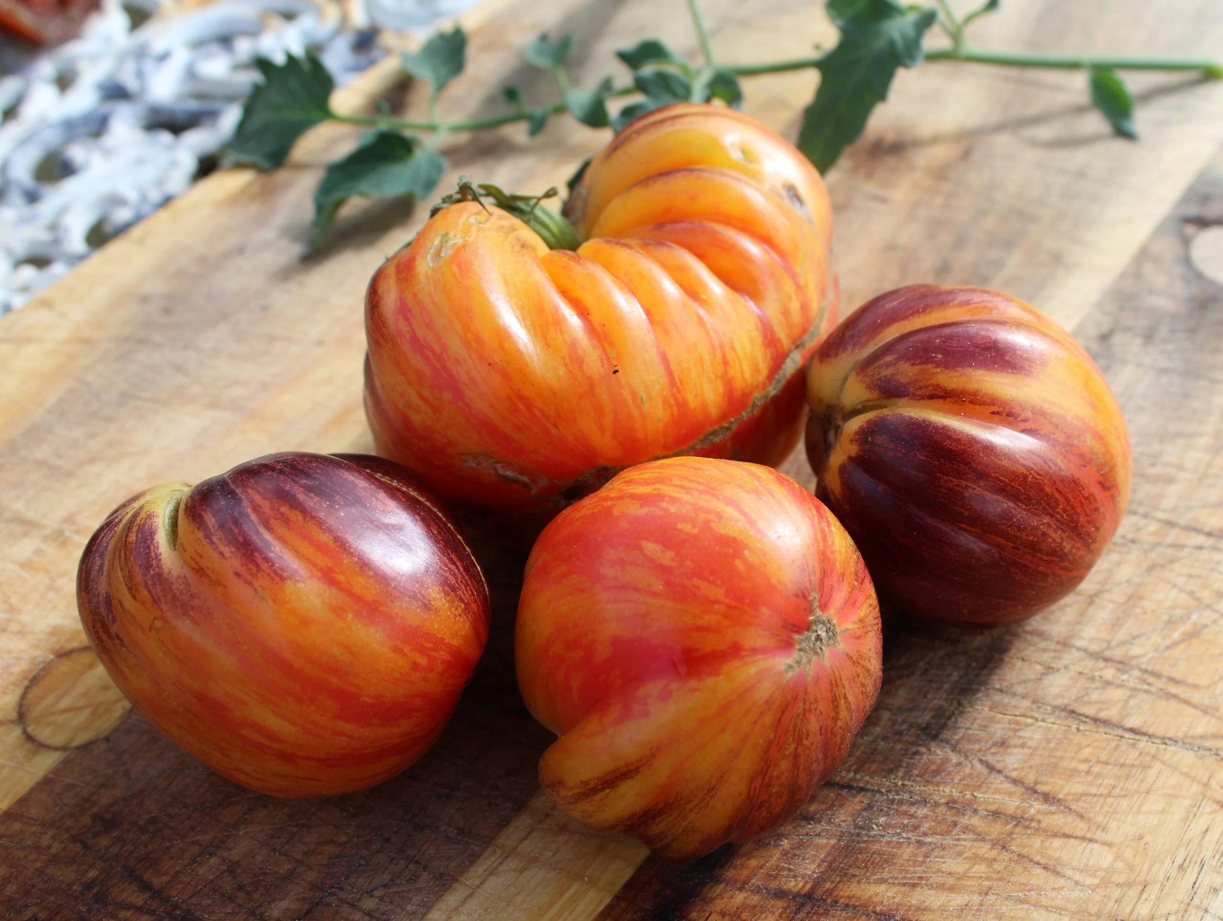 Fiery Turban