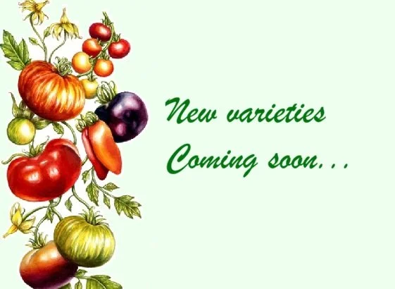 New varieties coming soon.jpg