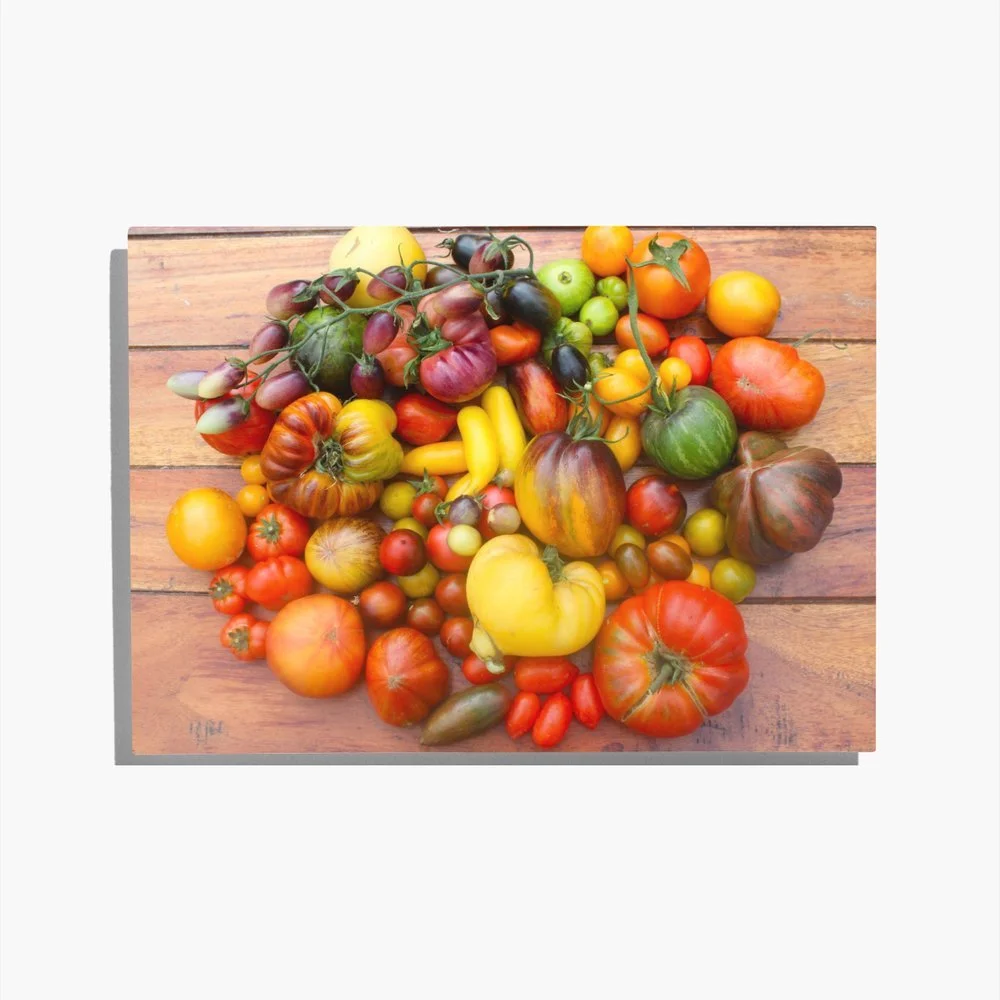 Tomato Lab Greetings Card