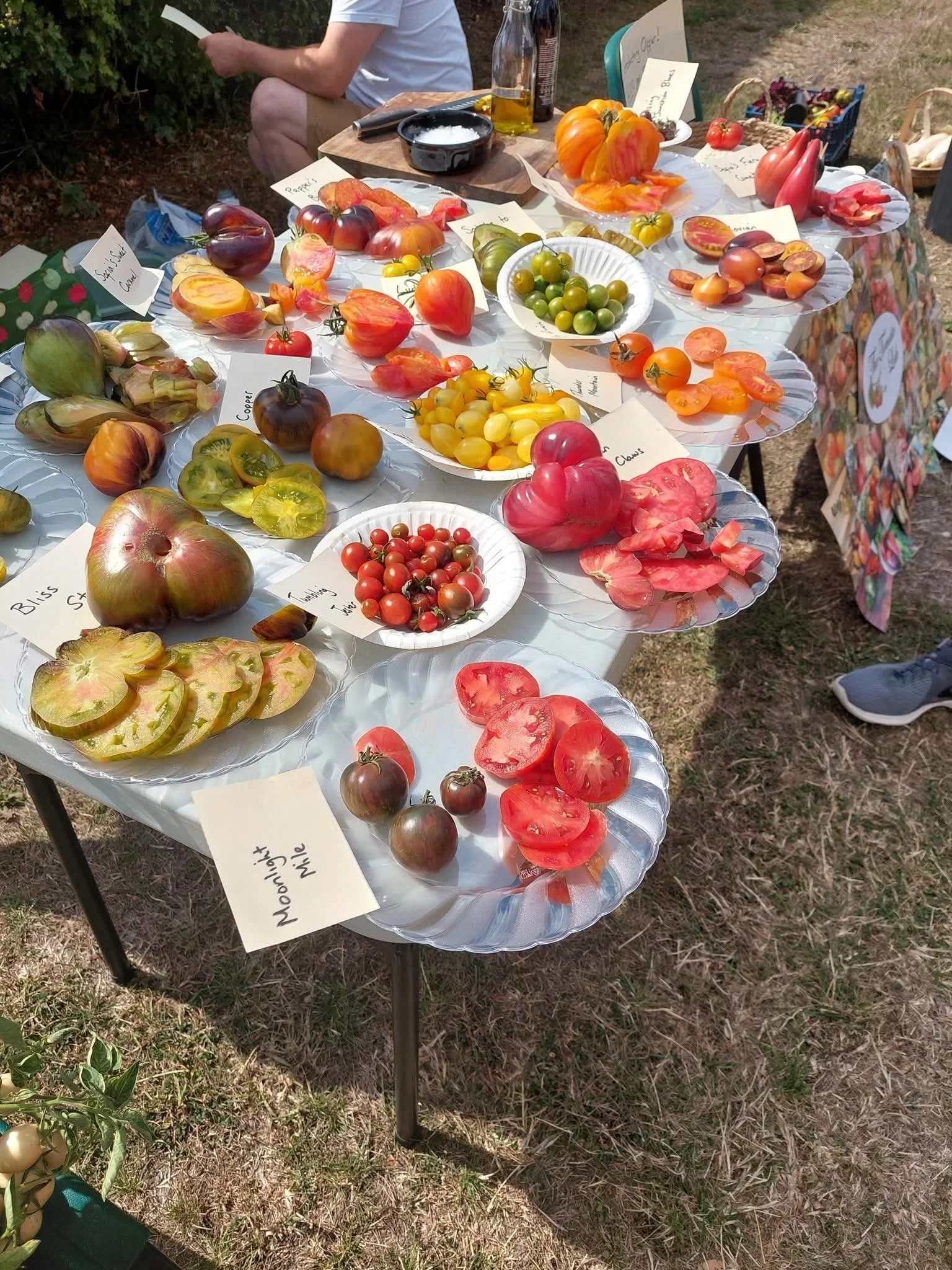 A table filled with various heirloom tomatoes, labeled with handwritten notes, displayed at an outdoor event.