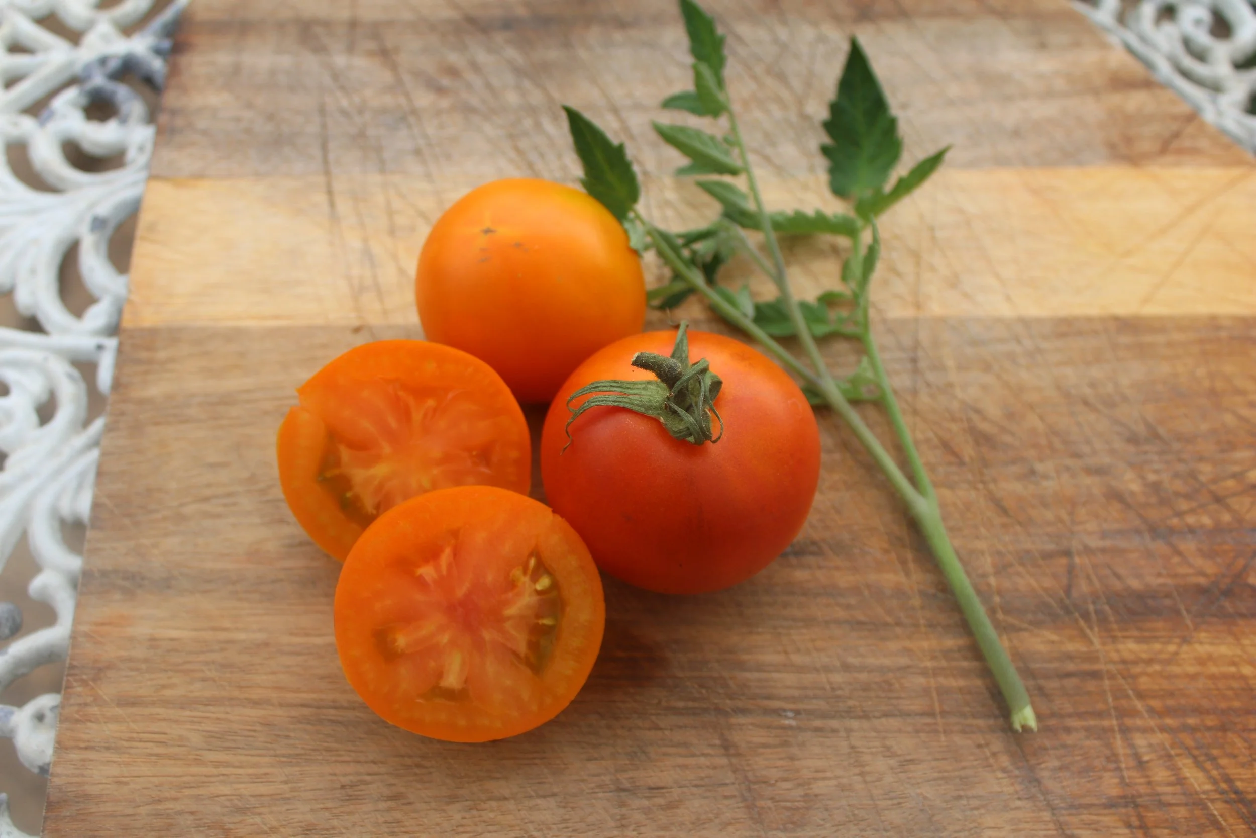 Thunder Mountain — The Tomato Lab