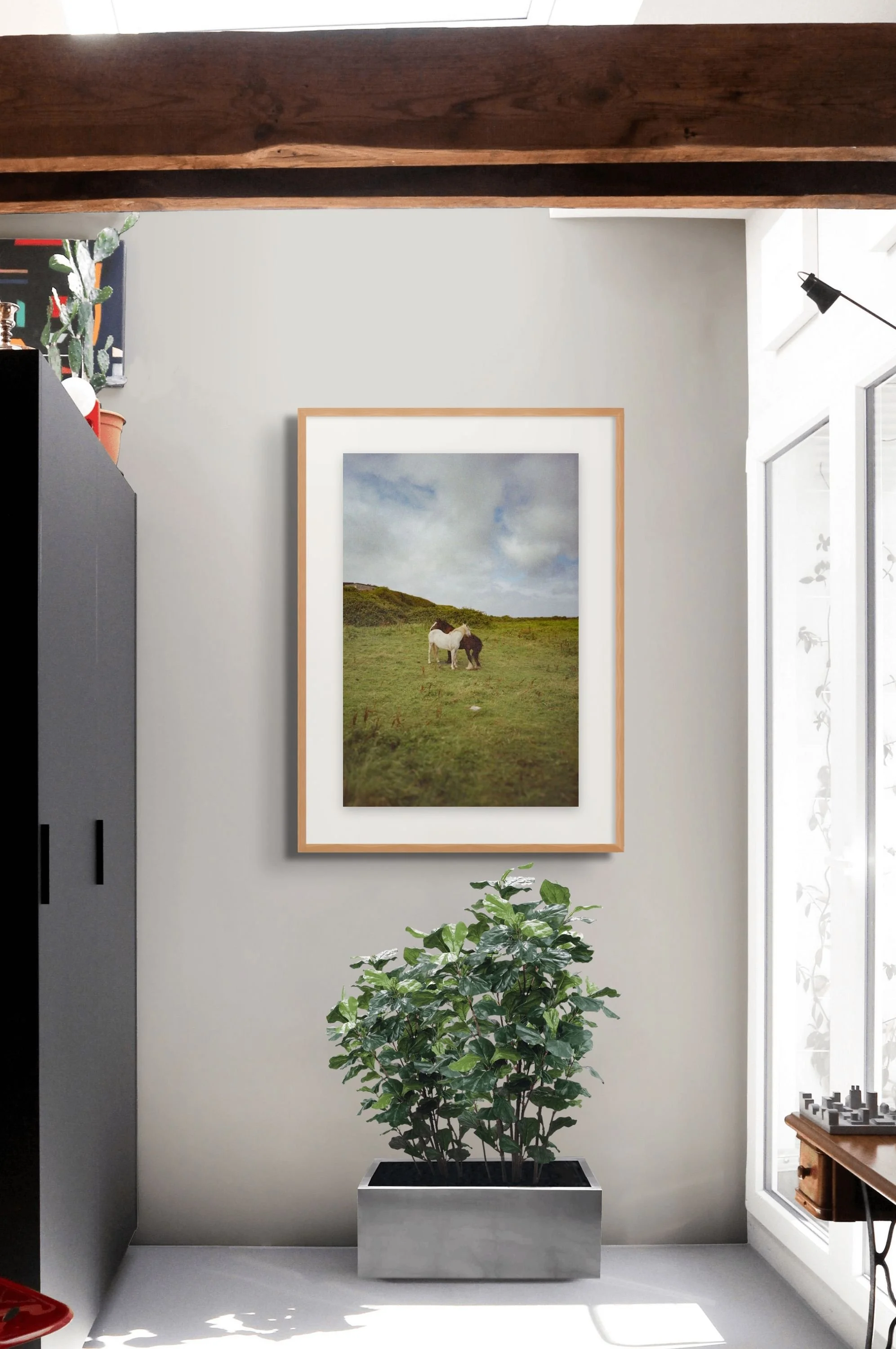 Aran Island Horses, 2023