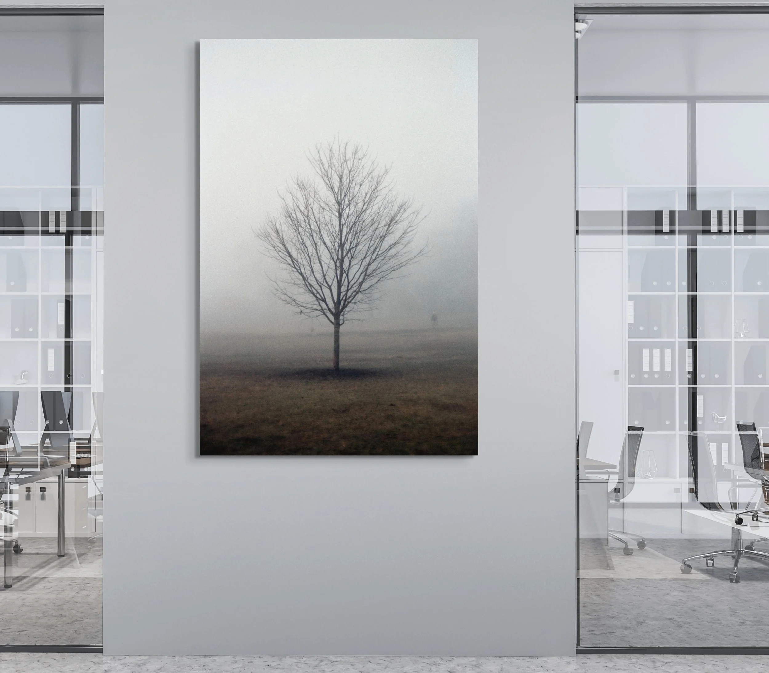 Rye Town Park, 2025 Corporate