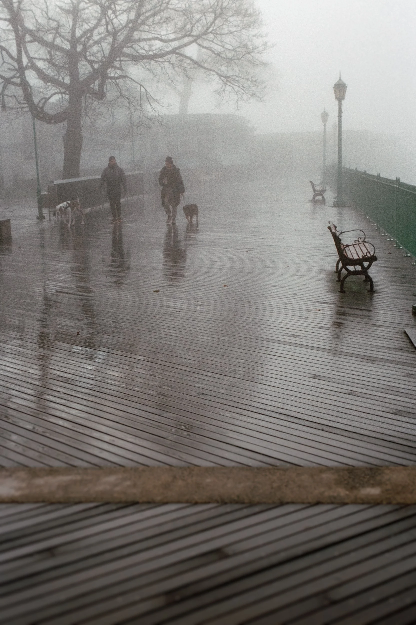 Boardwalk, Winter, 2025
