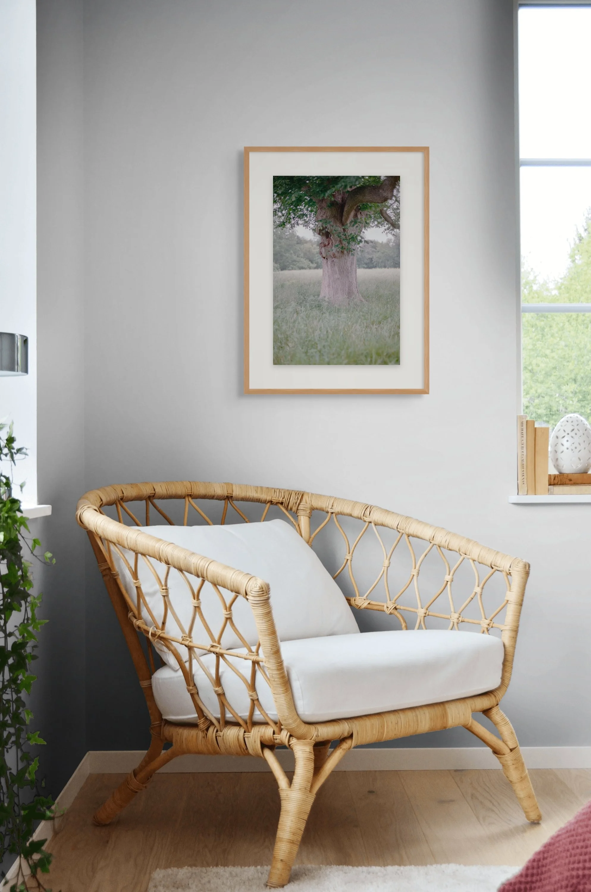 Shade Tree, Marshlands, 2025